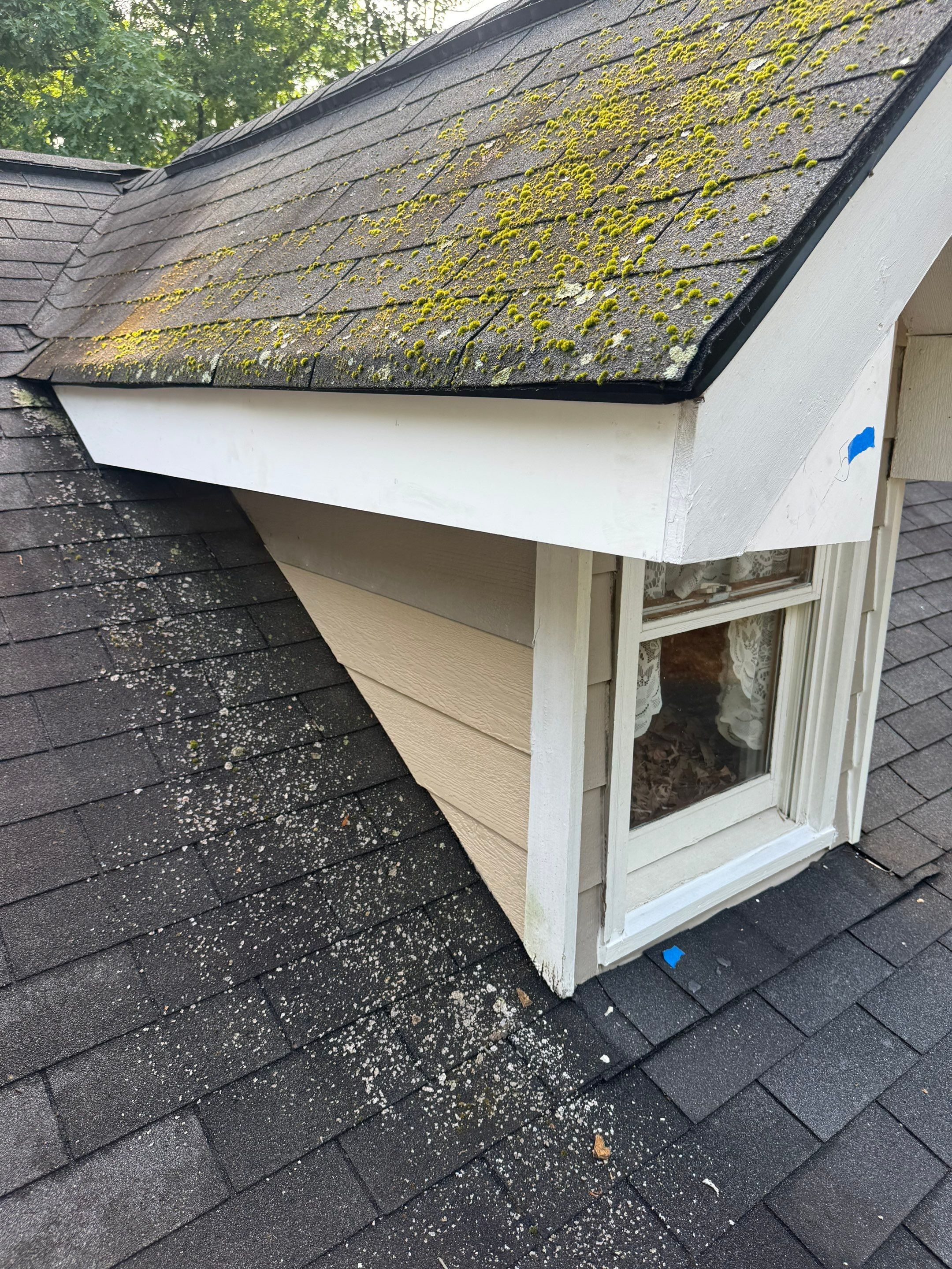 Exterior Painting and Wood Replacement in Mansfield by PGP Surface Solutions, LLC