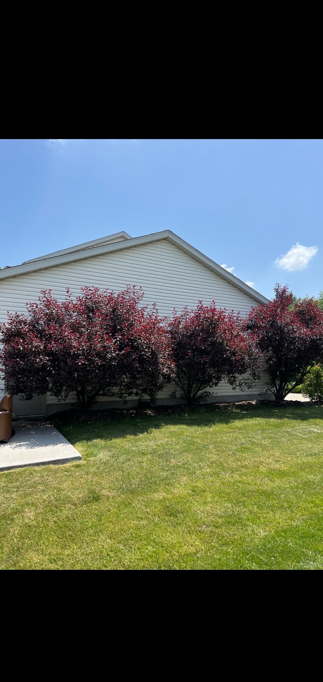 Tree Removal using Tree Removal by Mike Jones & Sons Tree Service LLC 