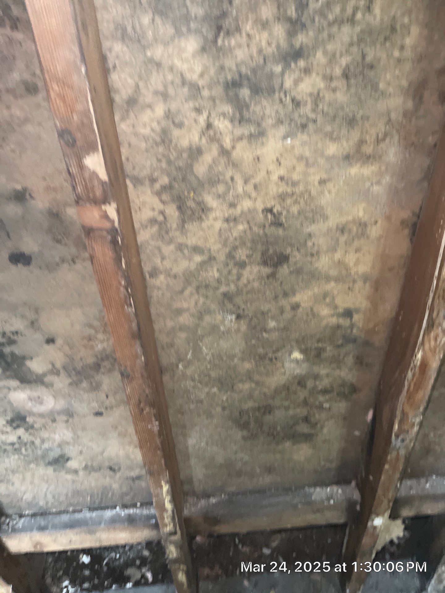 Project in Fresno  by 911 Hazmat Cleanup 