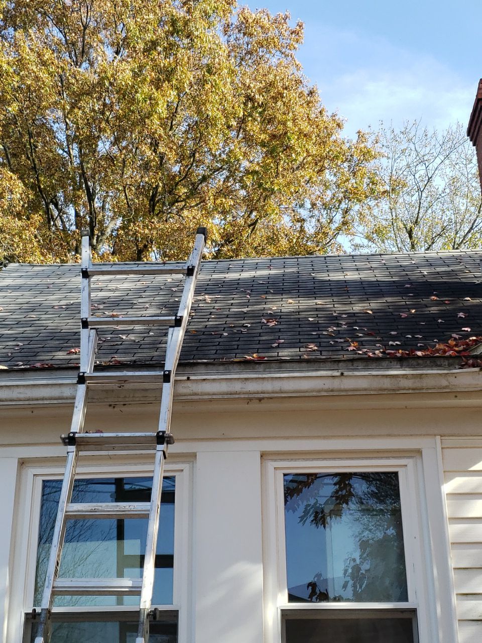 ATLAS PINNACLE SCOTCHGARD COLOR: PEWTER DRIP EDGE: BLACK by Eagle Eye Roofing