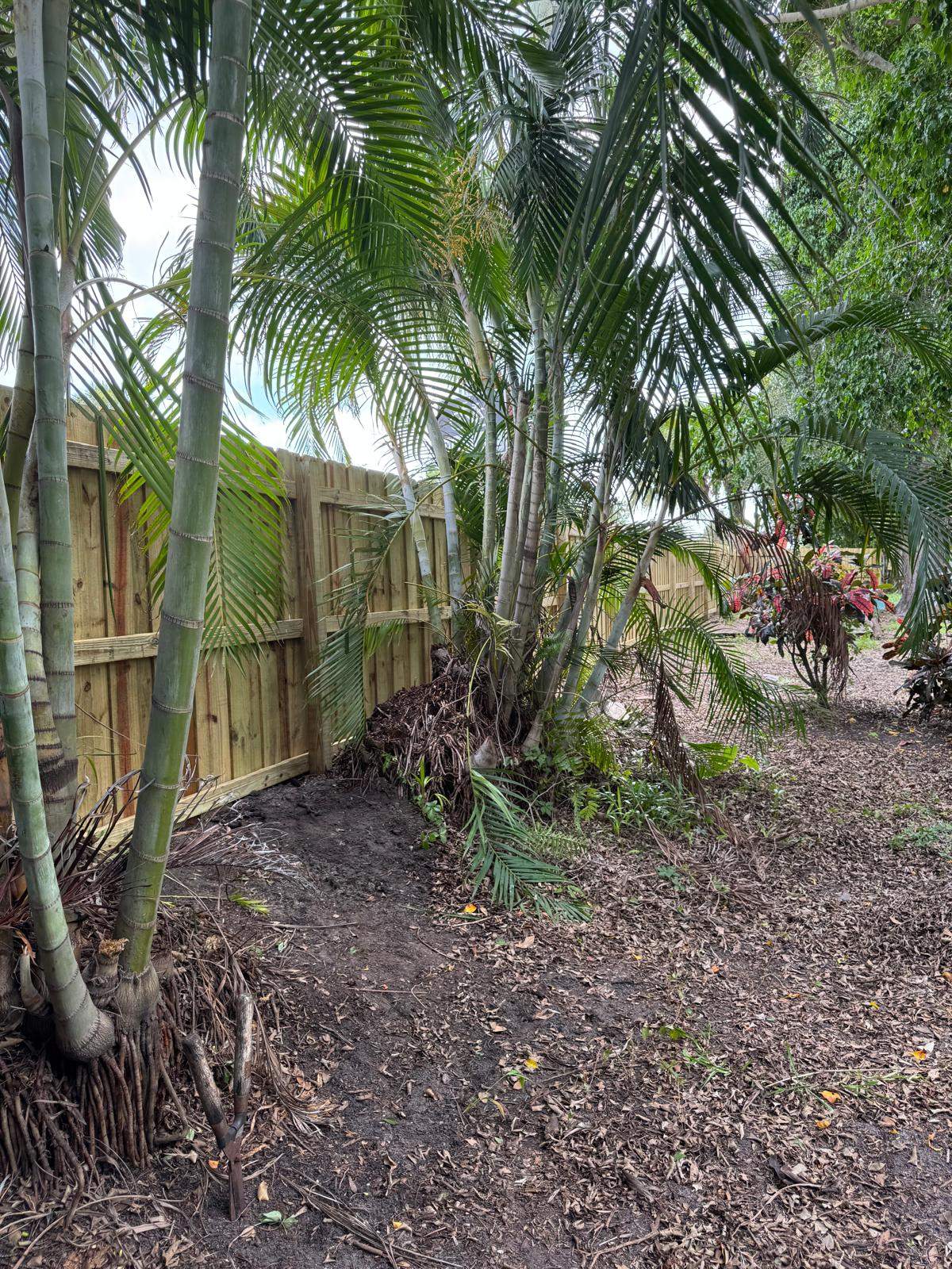 Pressure-Treated Wood Privacy Fence Installation in Sarasota by True Fence LLC