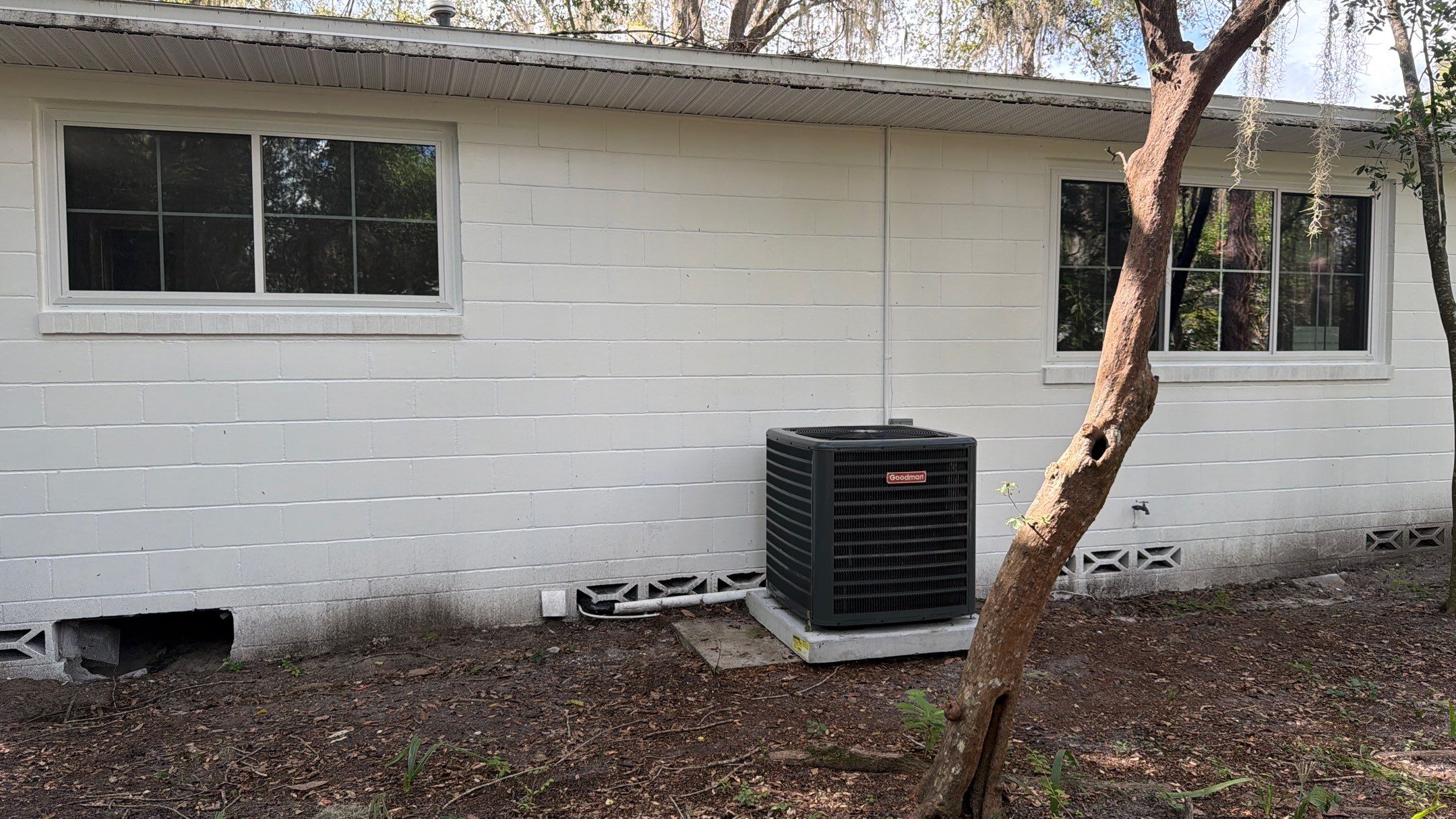 Energy Efficient Window Replacement for Gainesville White Brick Ranch by Windows & Doors Store