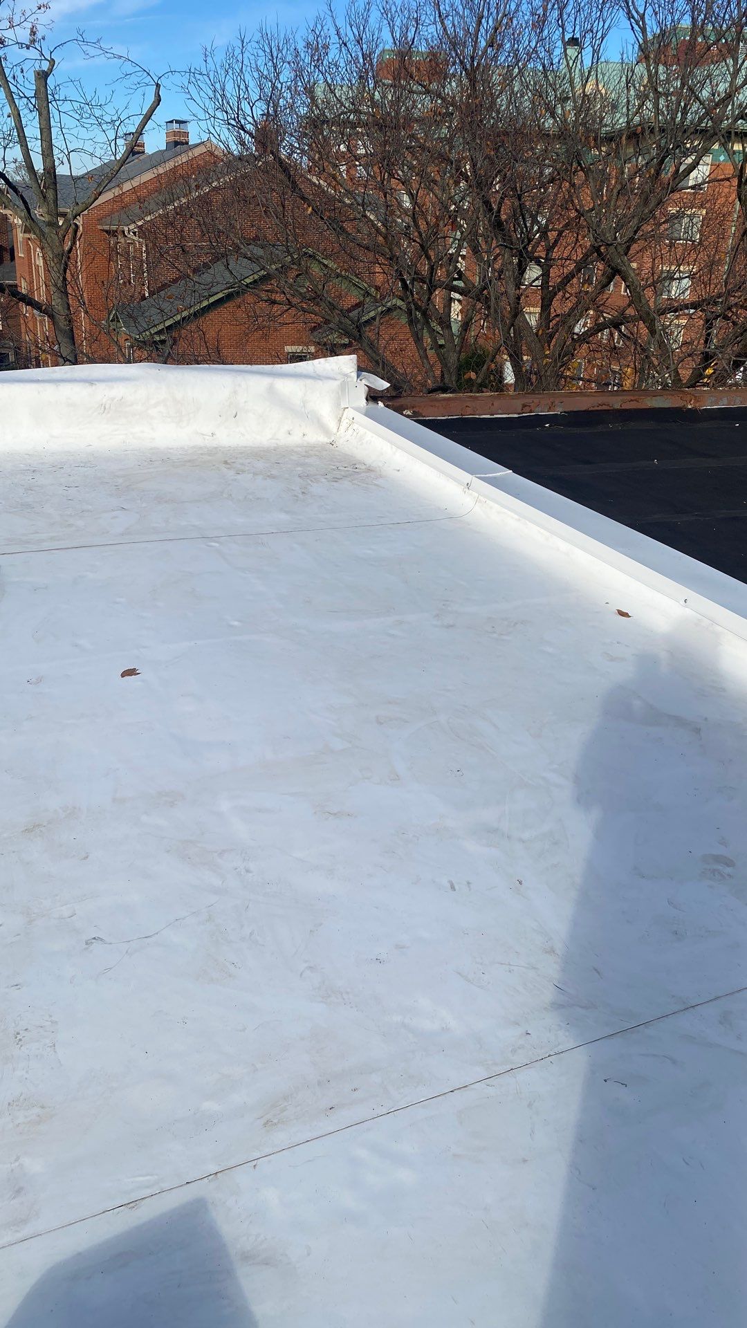 Alexandria: Residential Flat Roof Replacement with Mule Hide TPO Membrane by RM Banning, Inc.