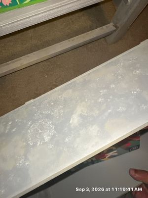 Water Damage Restoration — Naples, FL