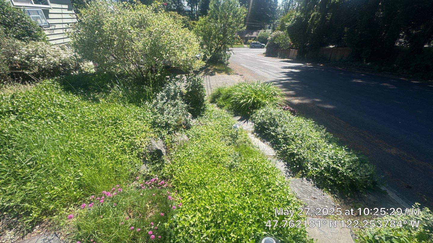 Front Driveway & Stairs Concrete Renovation | Kenmore  by Jireh Asphalt & Concrete Inc 