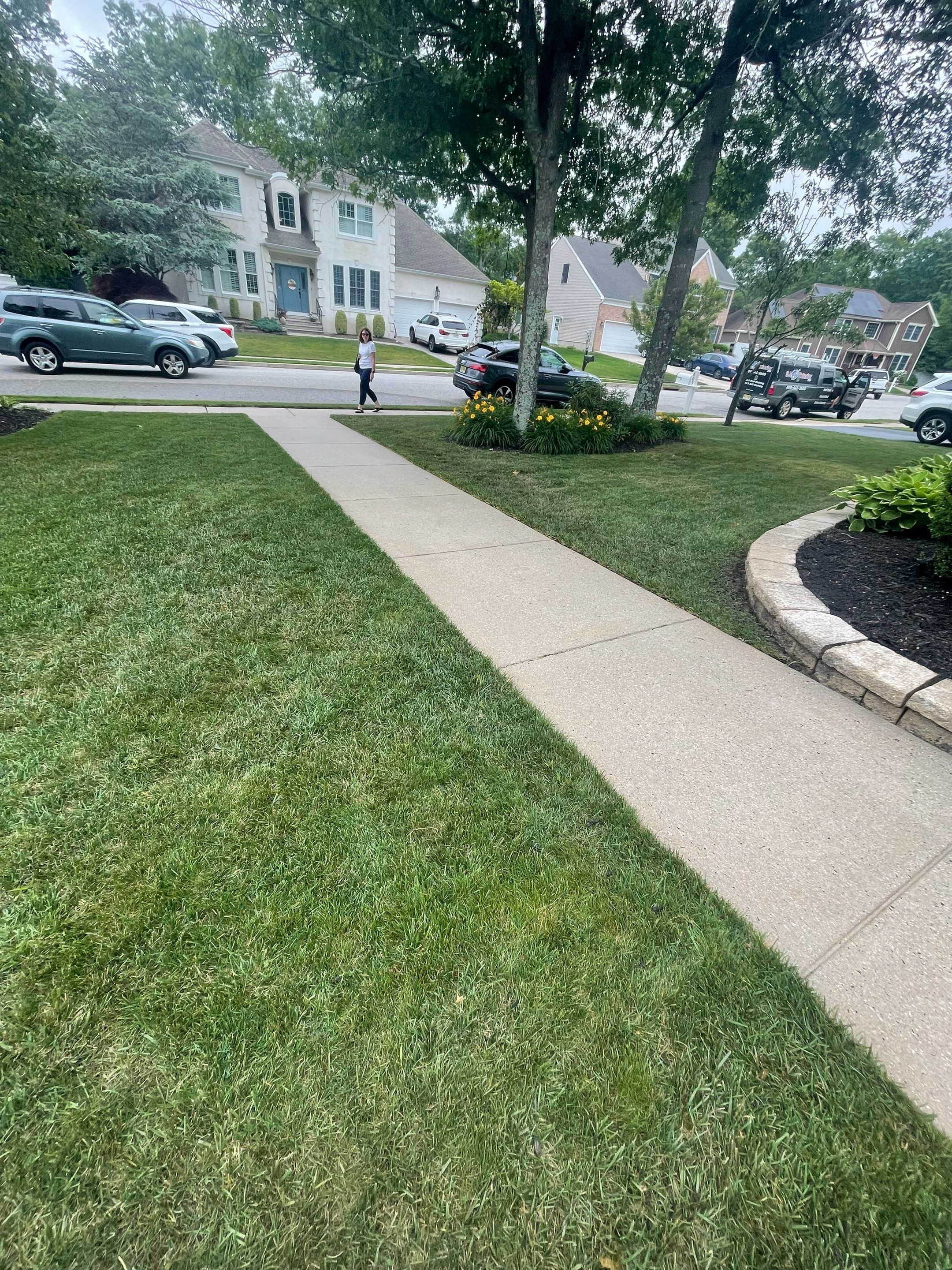 Residential Exterior Cleaning by SJ Exterior