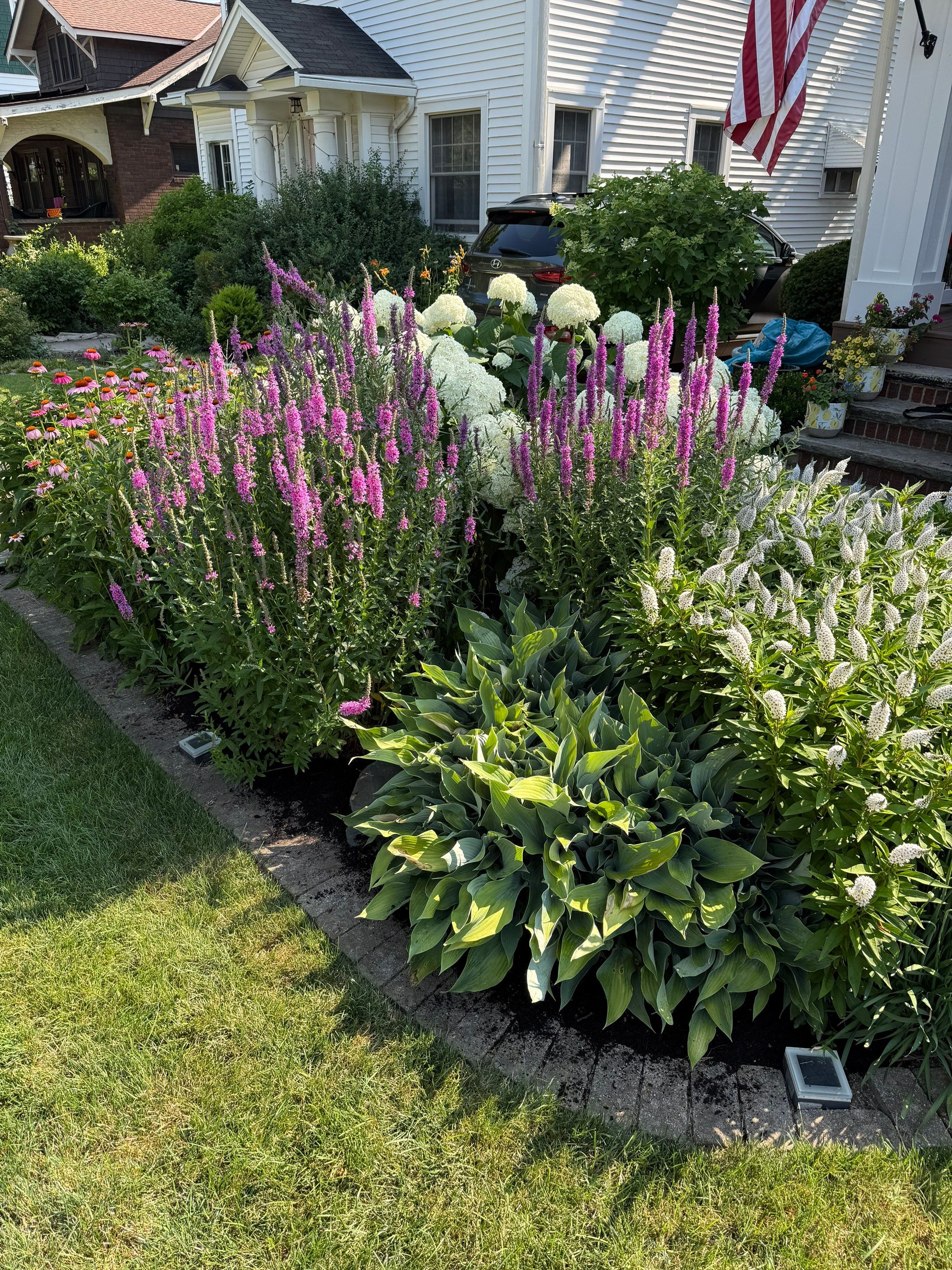 Elm Rose Home Project by Elm Rose Gardens