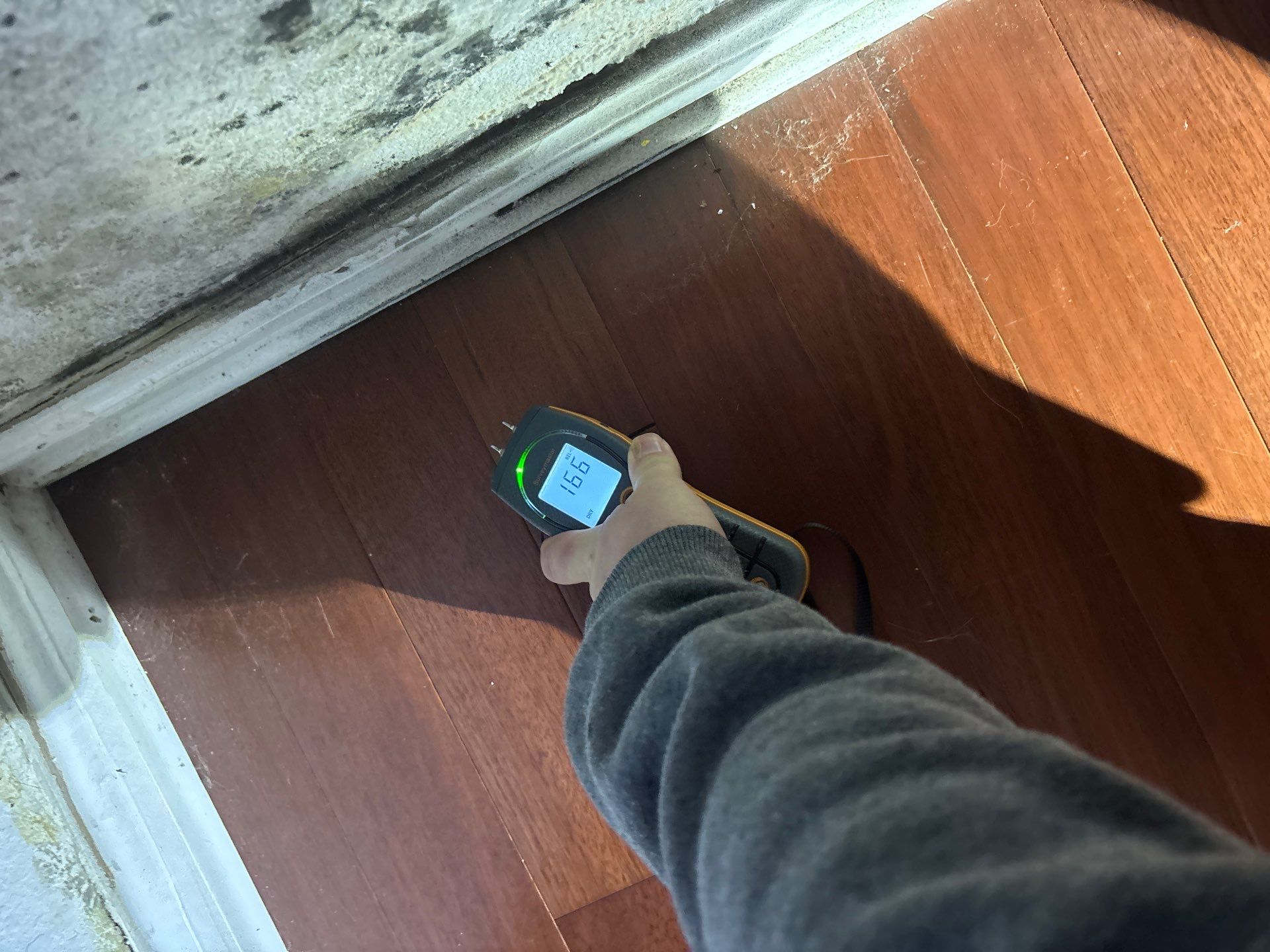 Water Damage Mitigation by All Dry Services of North Austin