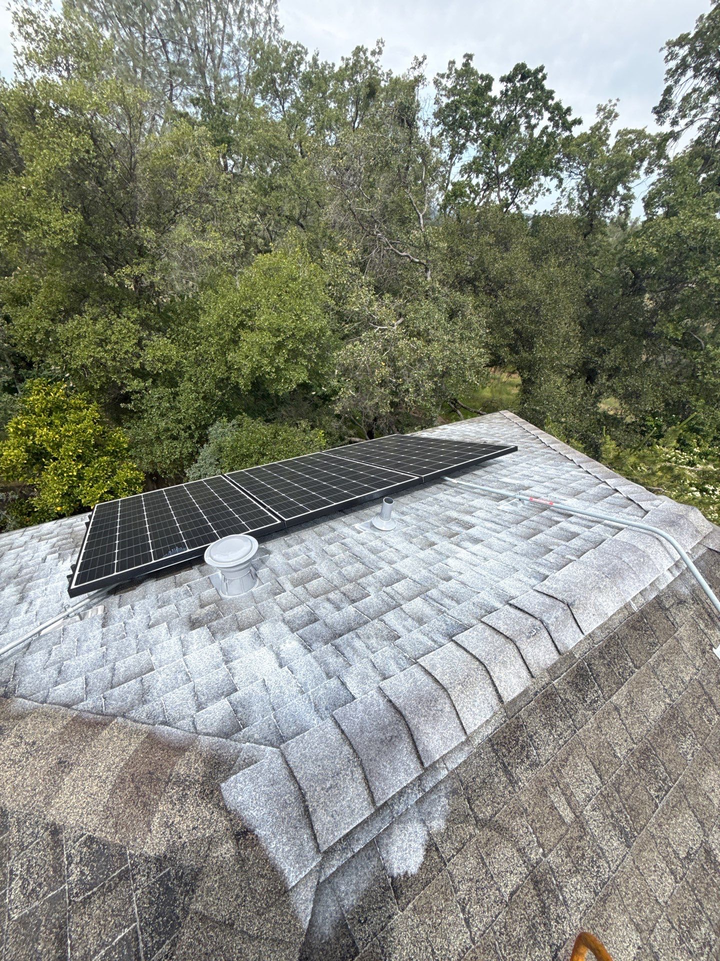 Roof Rejuvenation using Roof Maxx Treatment by Roof Maxx of Folsom