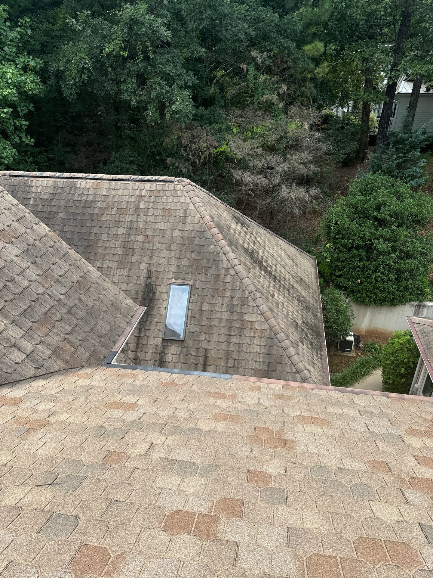 Catherine Cutter by United Contracting and Roofing