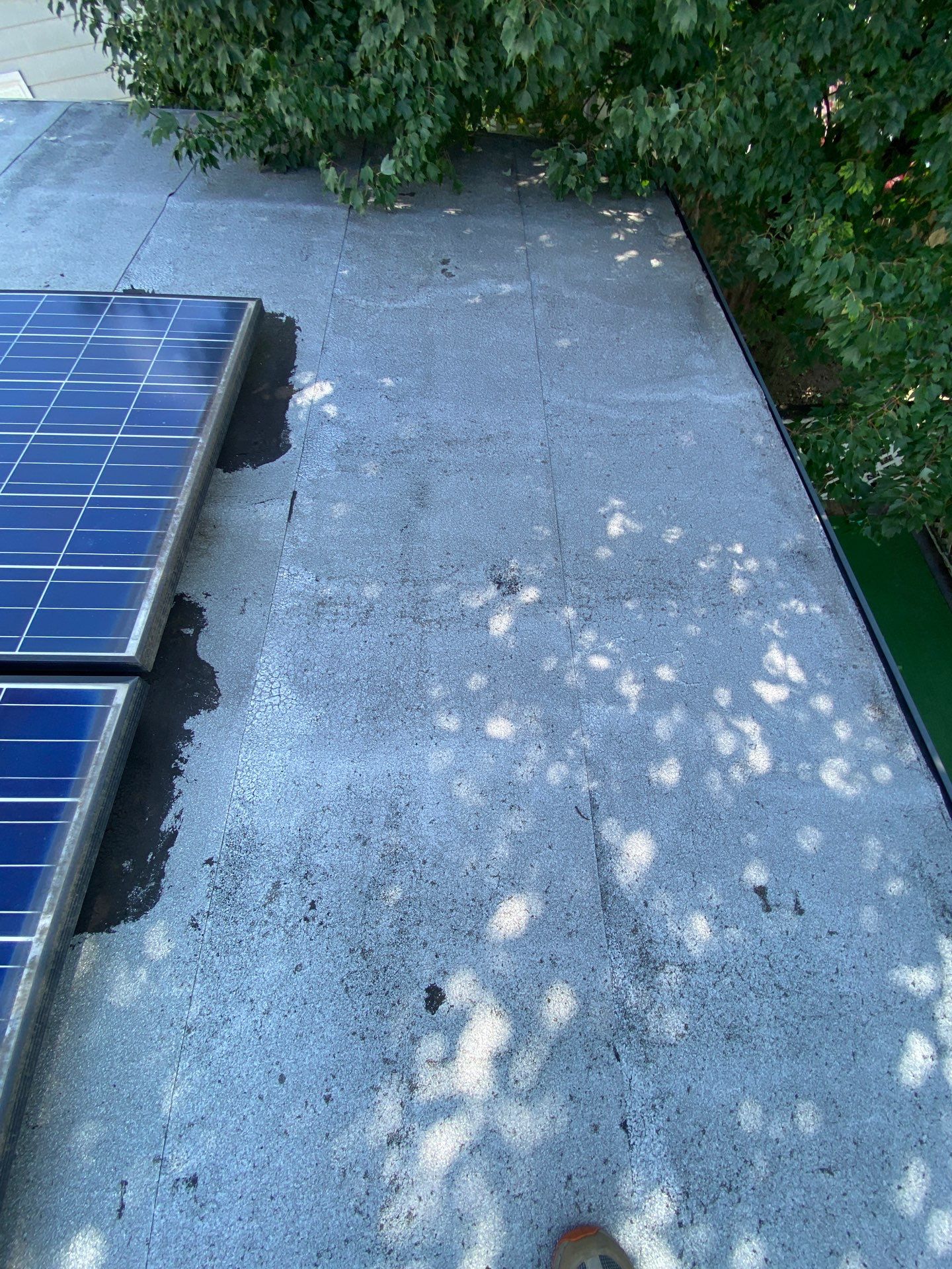 Modified Bitumen Membrane by Reimagine Roofing