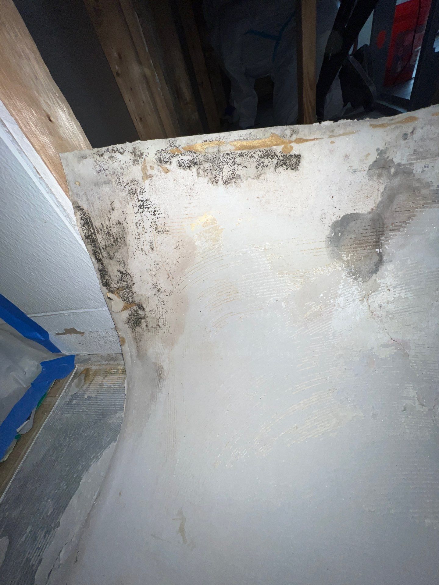 Stansell - water and mold photos  by THE RAPID TEAM