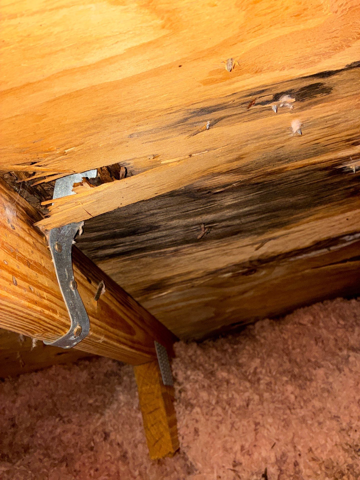 Tile Roof Leak Repair and Decking Replacement in Boynton Beach by Aastro Roofing