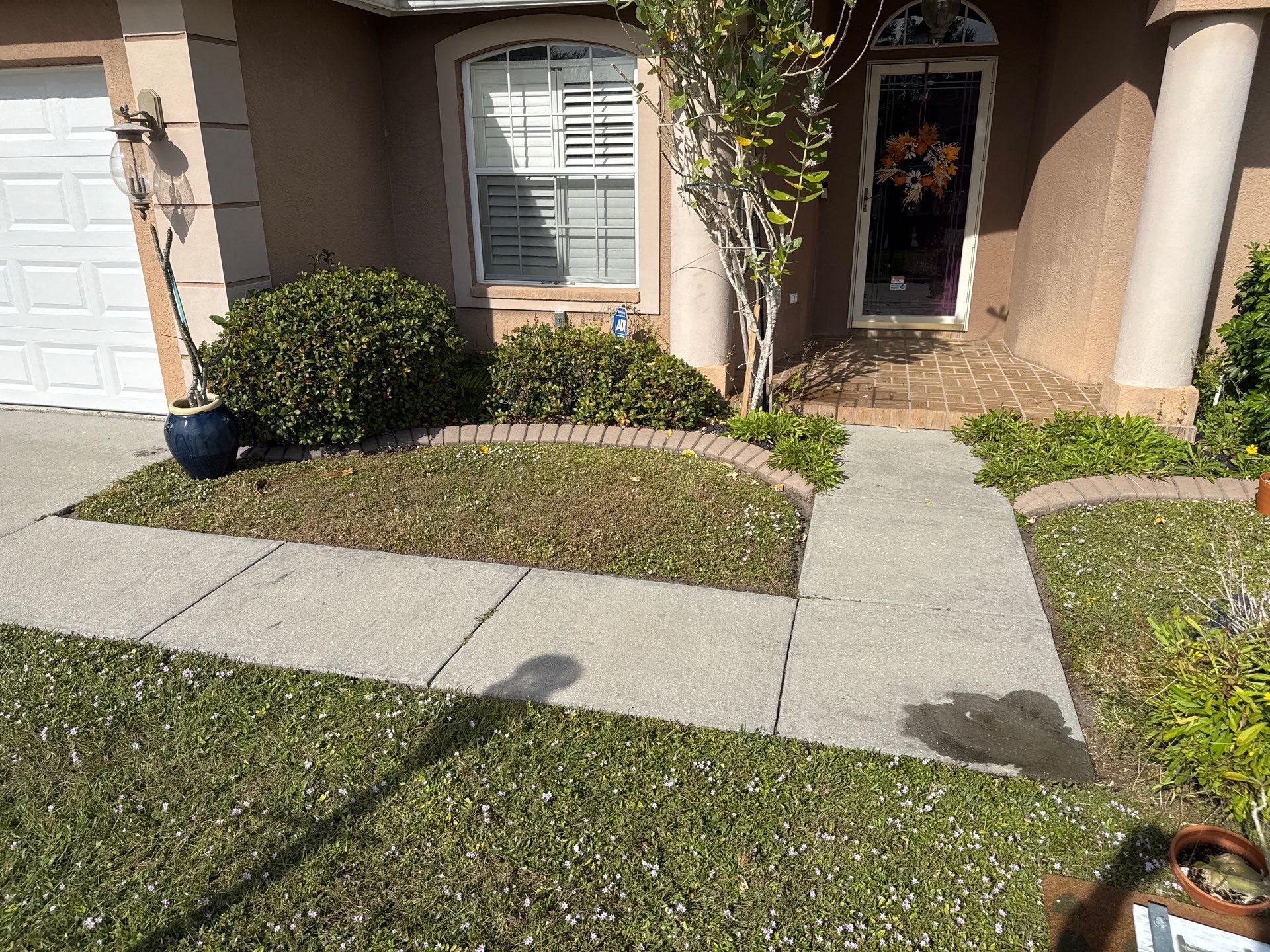 Driveway, Sidewalk, Street Curbing & Pool Screen Enclosure Cleaning in Regency Oaks, Palmetto, FL | Sunshine AquaWash by Sunshine AquaWash