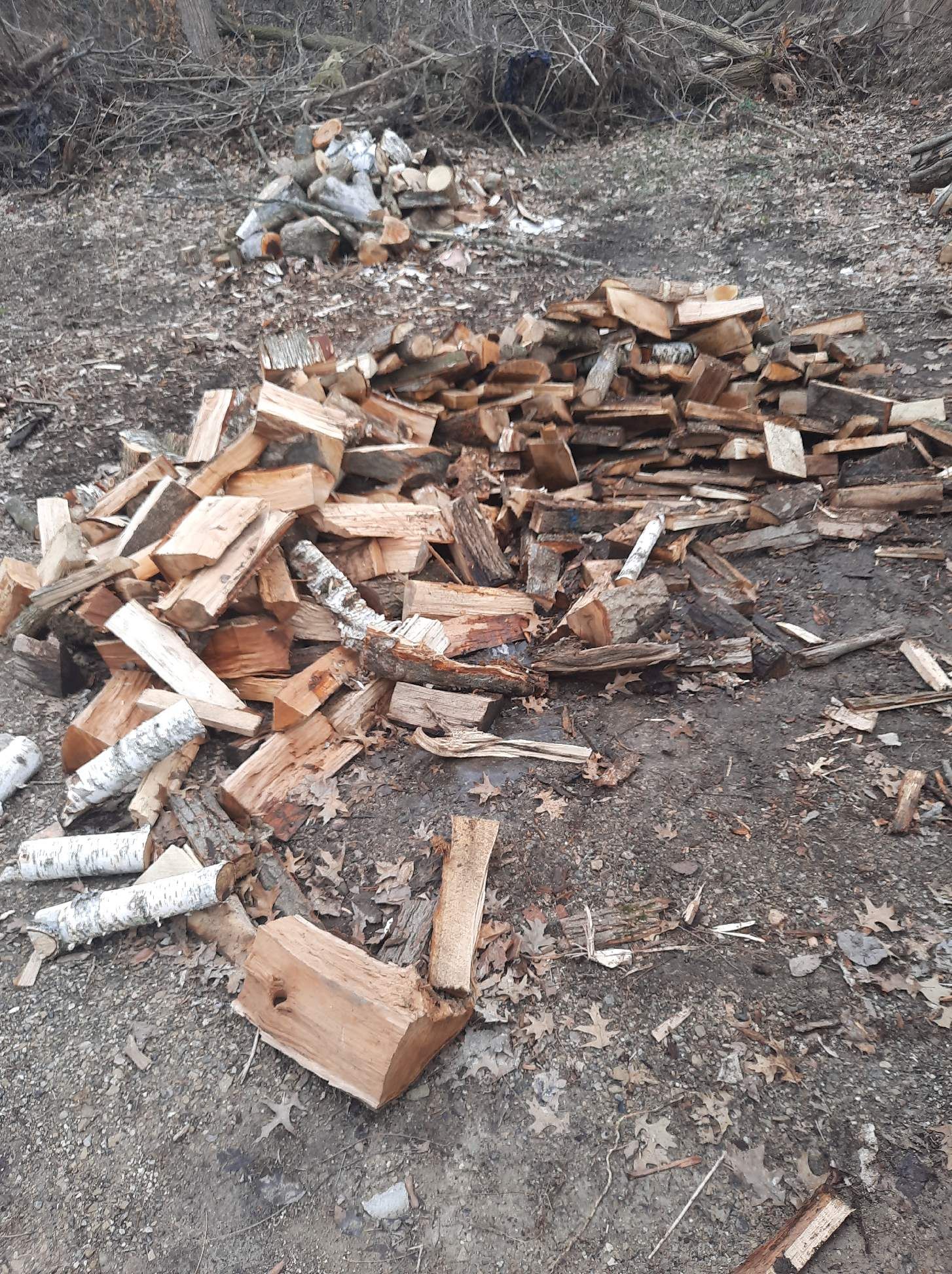 Tree Removal using Tree Removal by Mike Jones & Sons Tree Service LLC 