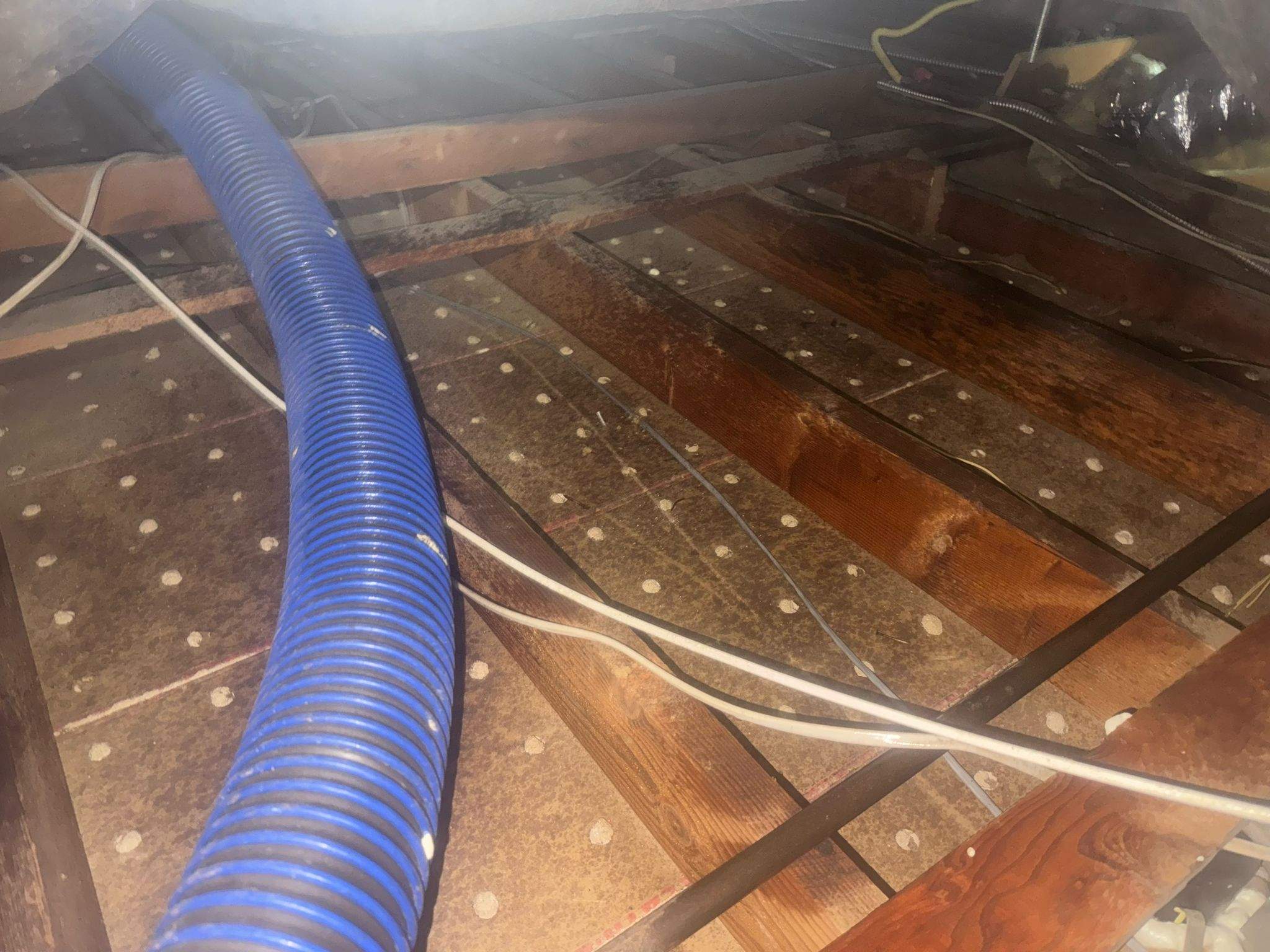 Project in Hastings Ranch Dr by Advanced Attic Solutions