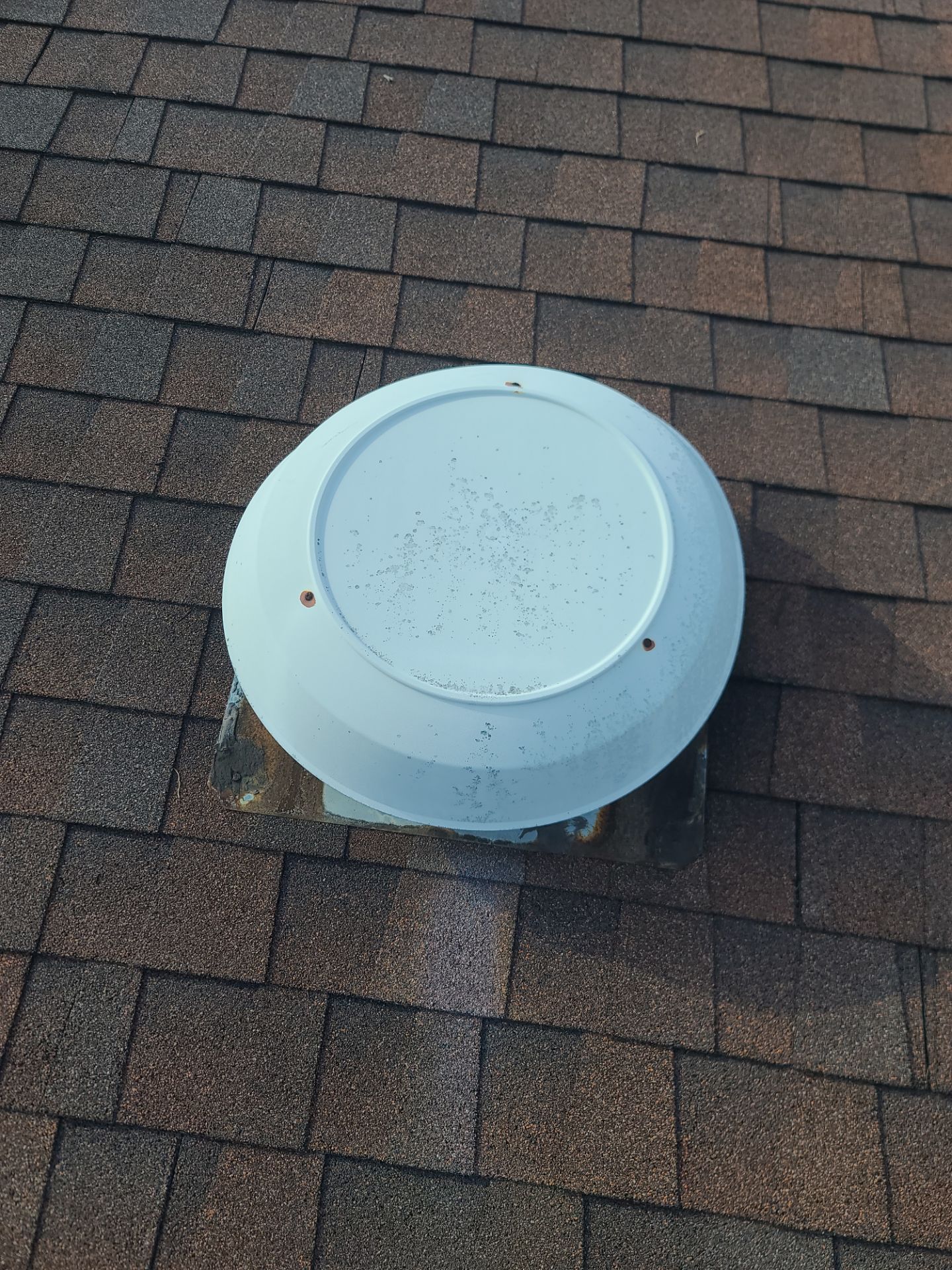 Morgan's Roof by BROCK BUILDERS 
