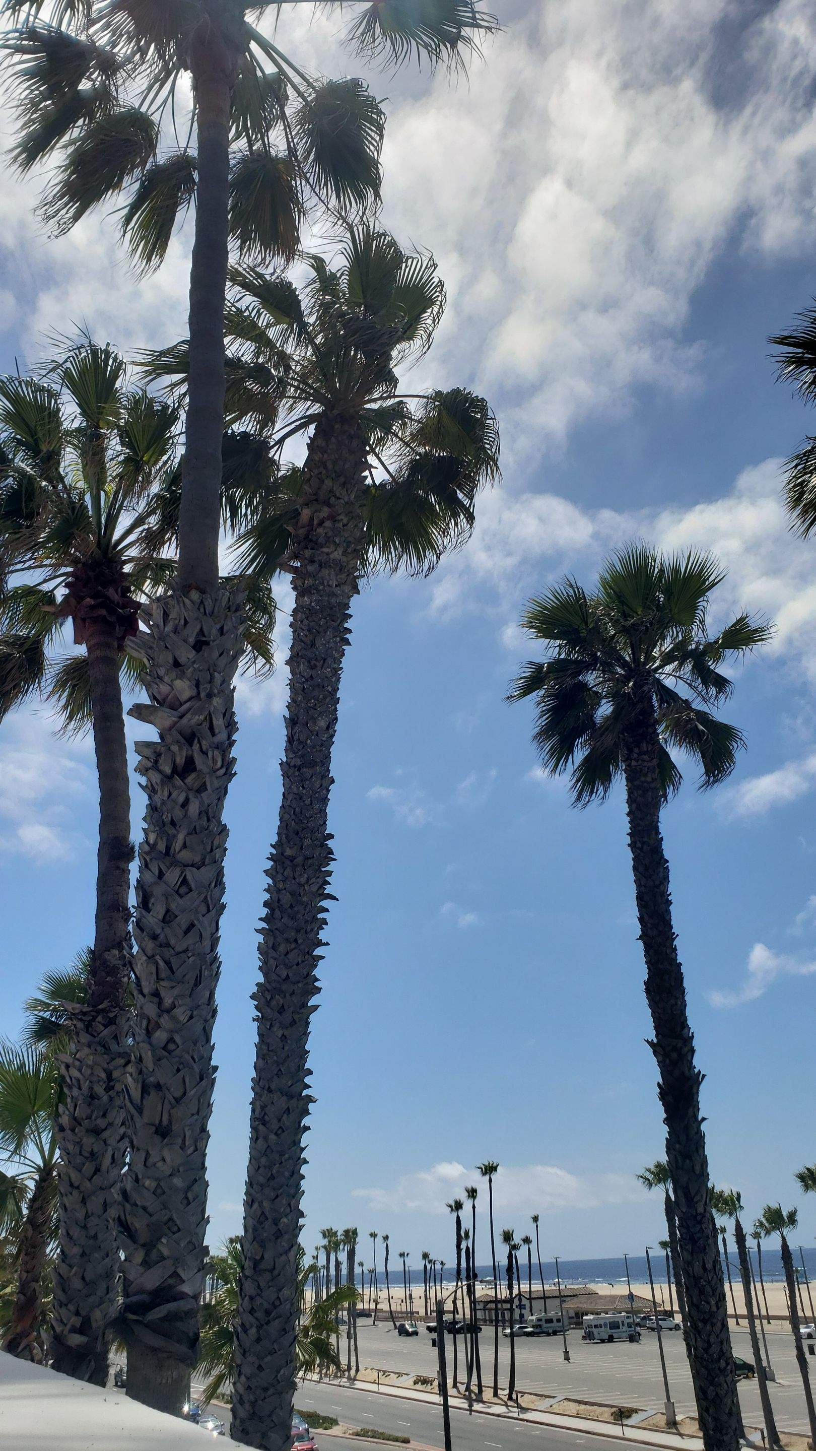 Hilton Waterfront Bistro Light Install by BrightLife Designs llc