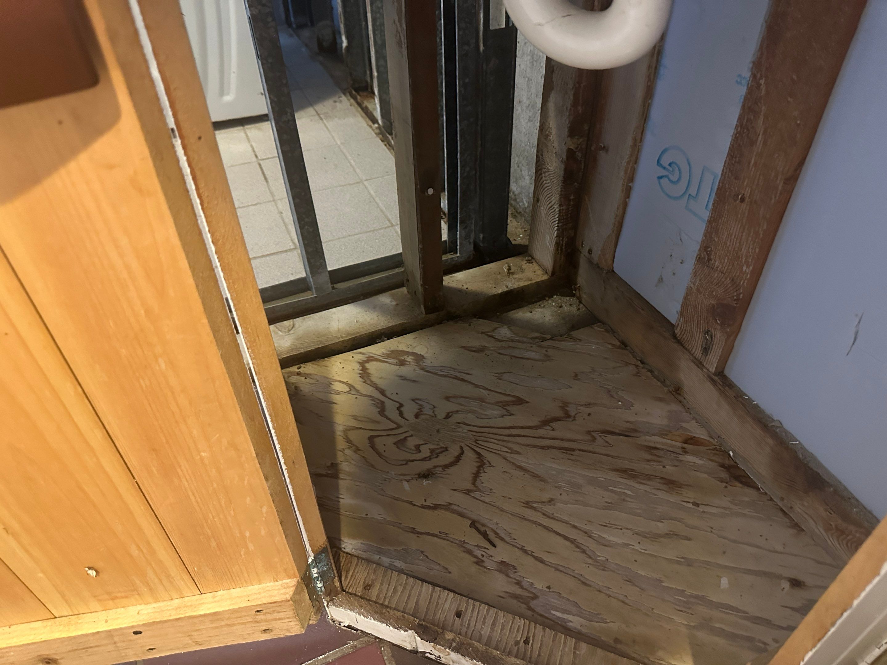 Basement Mold Remediation by Home Guarantee, LLC