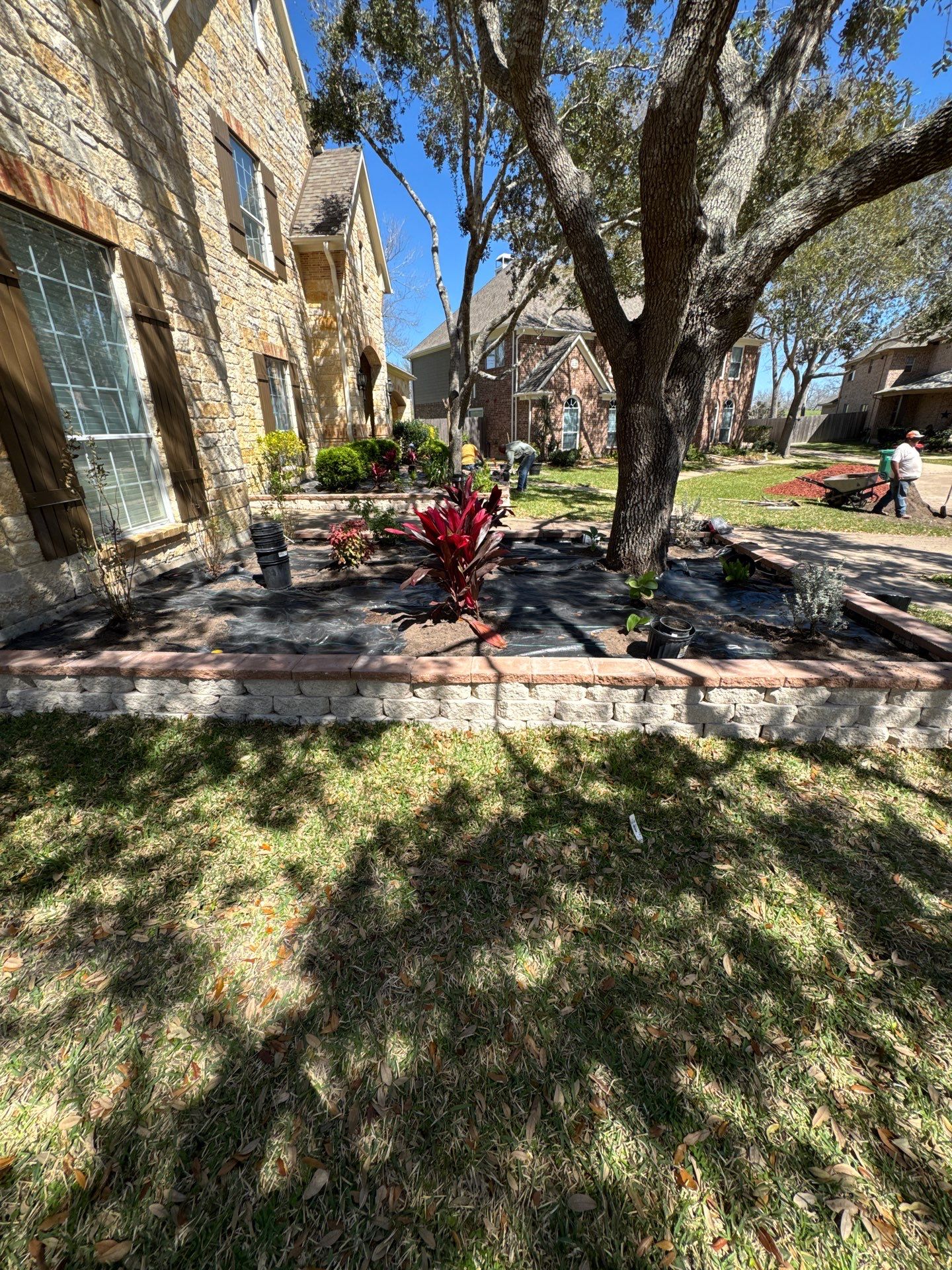 🌿 Mr. George – A True Curb Appeal Conversion by Texas Urban Elements
