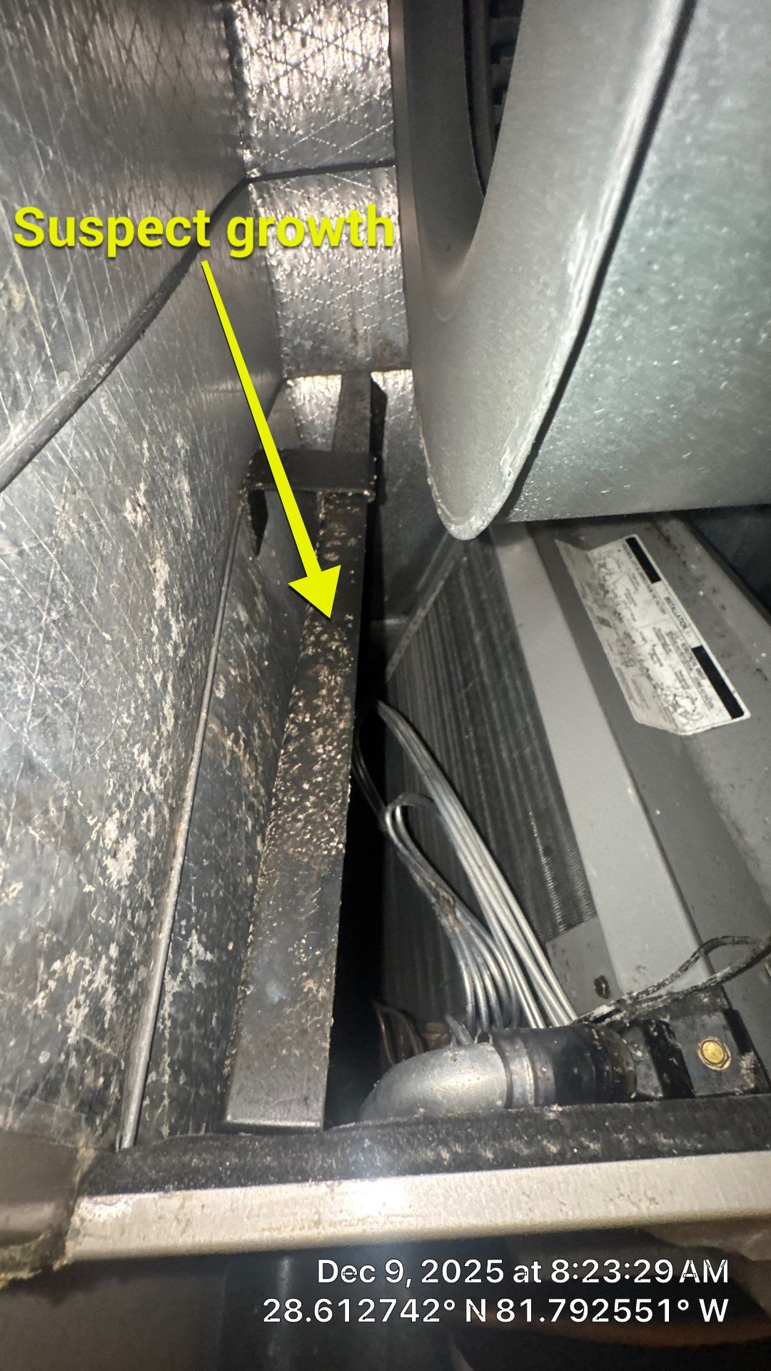 Air Duct Cleaning in Groveland by Hygienic Air, Inc