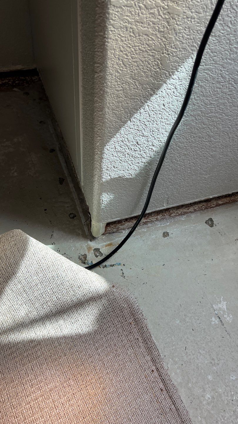 Mold Remediation  by Accountable Home Services