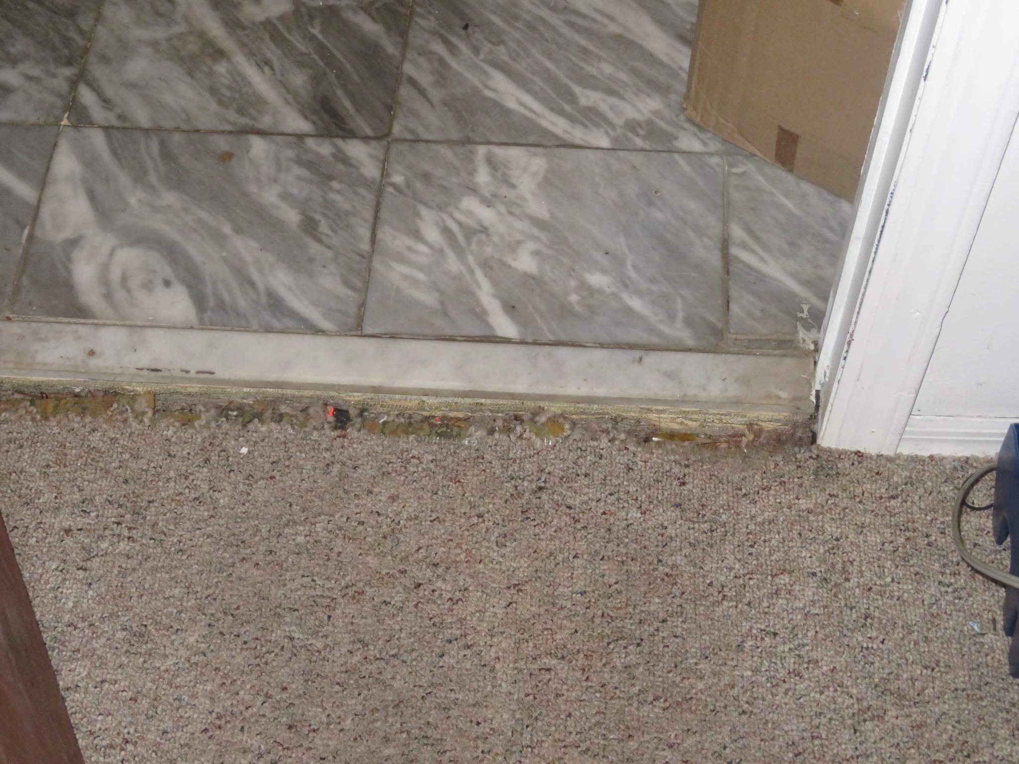 Water Damage Claim in Jersey City by FLAPA & KeyStone