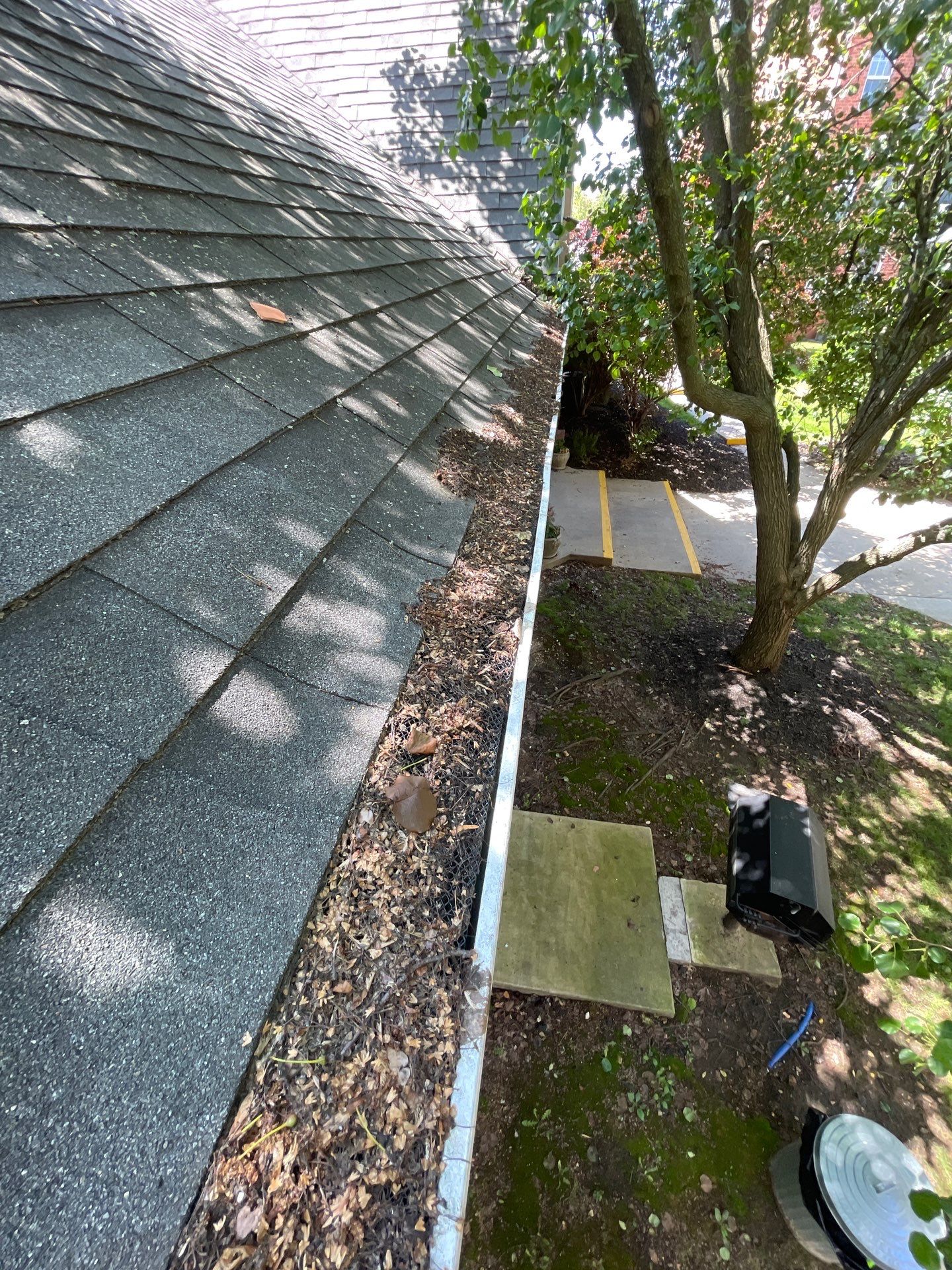 Commercial gutter cleaning Missouri before photo with filled gutters