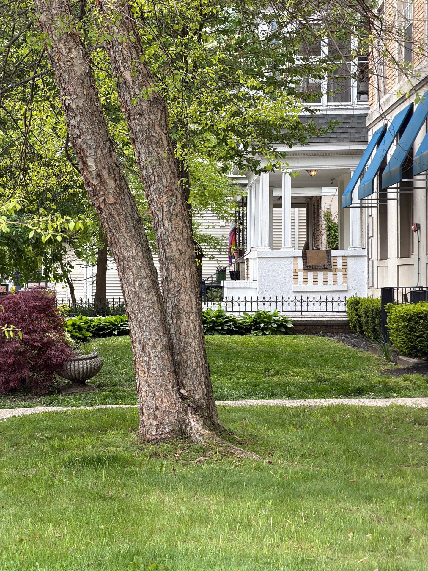 Professional Lawn Care and Seasonal Landscaping in New Haven by Diamond Image LLC