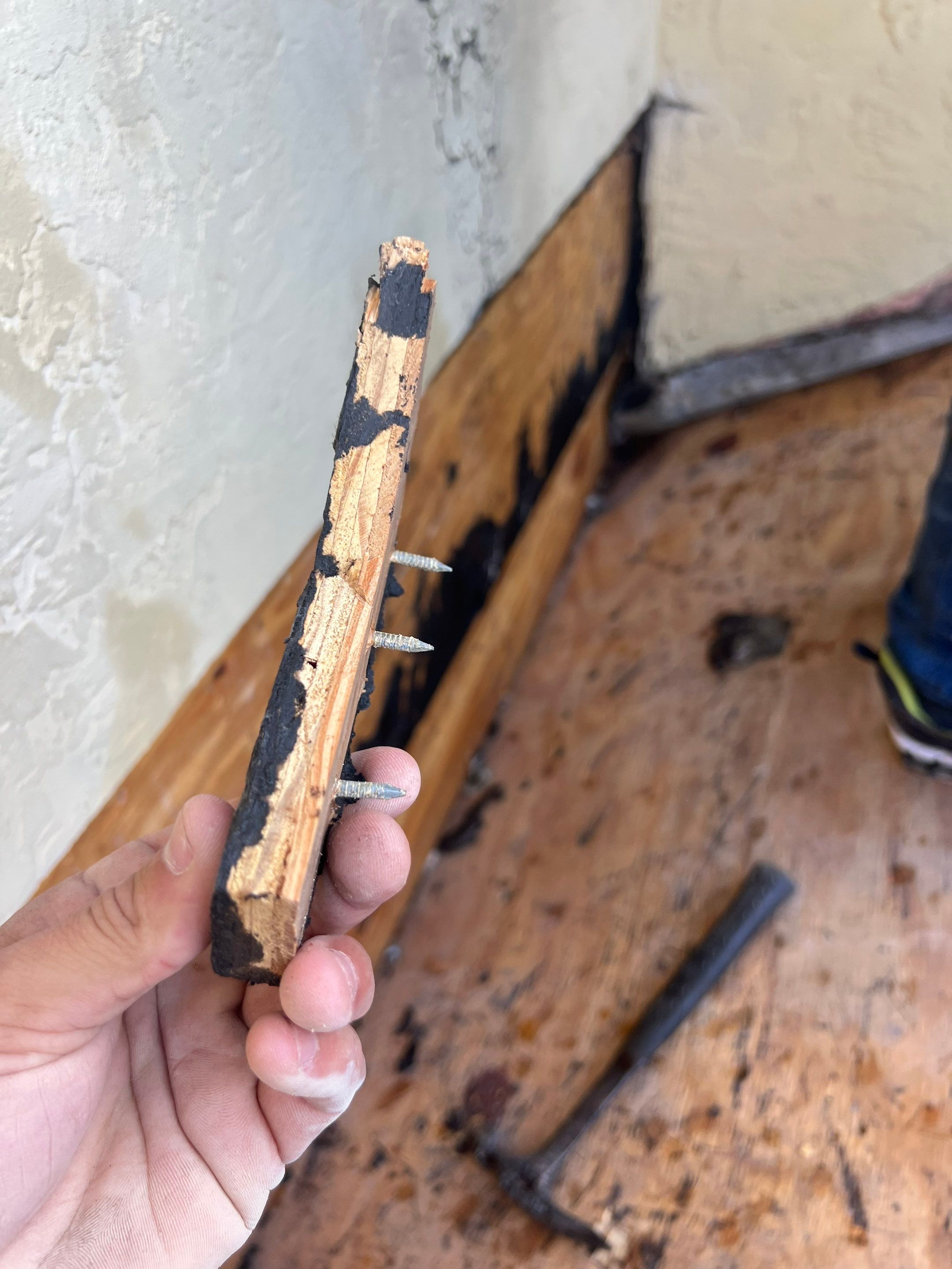 Natures Cove Rd., Dania Beach, FL by G&J Roofing 