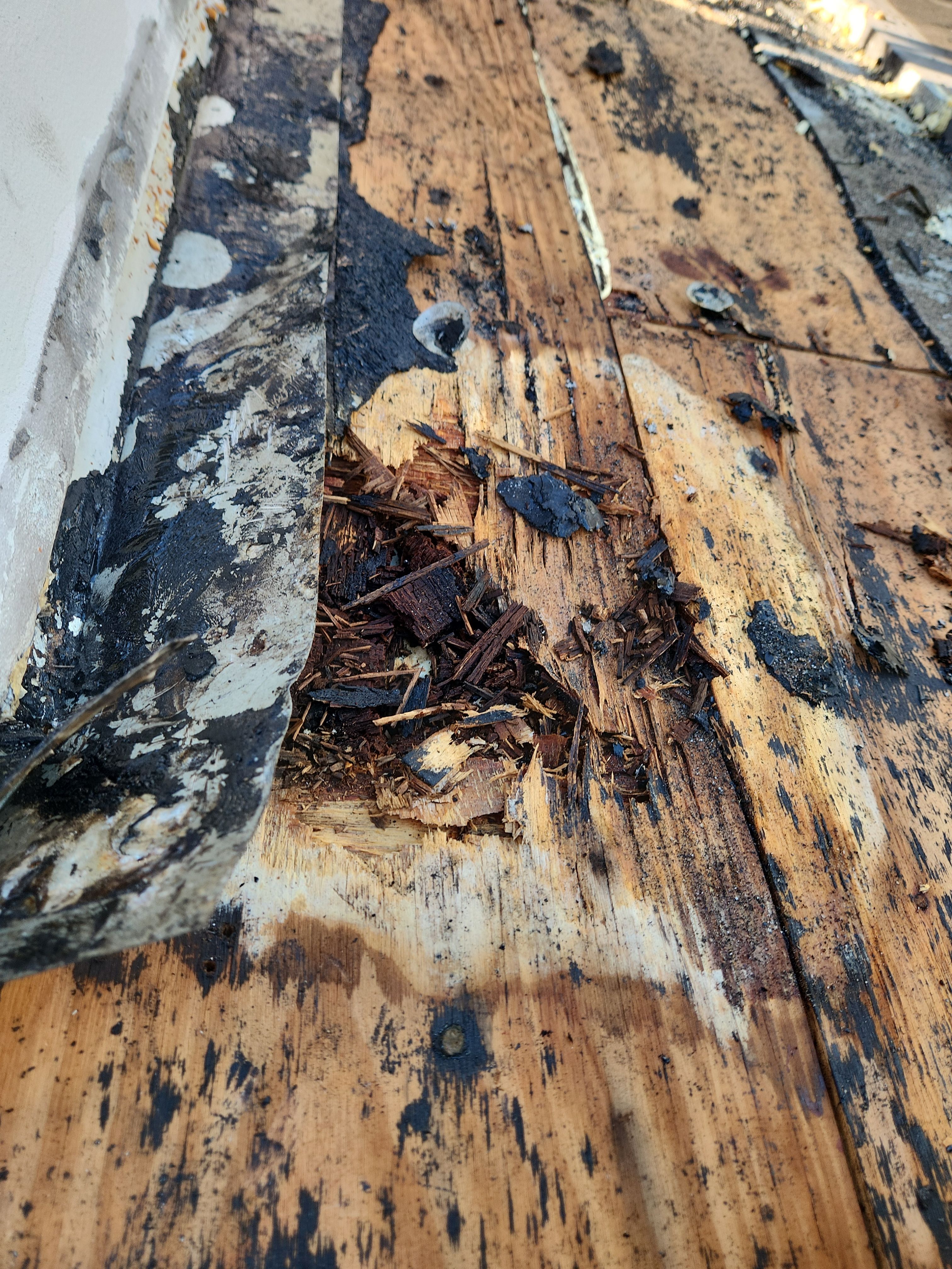 Silicone roof coating and tile tune up in Boca Raton by Aastro Roofing