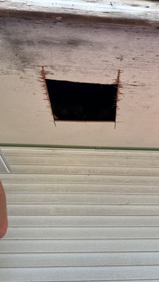 Turtle Shell gutter protection installation in Morris, IL 60450, photograph 24