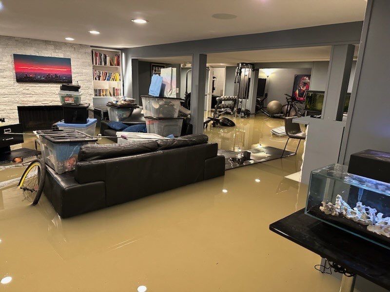 Project in Beverly Hills by EzDry Water Mitigation & Property Restoration