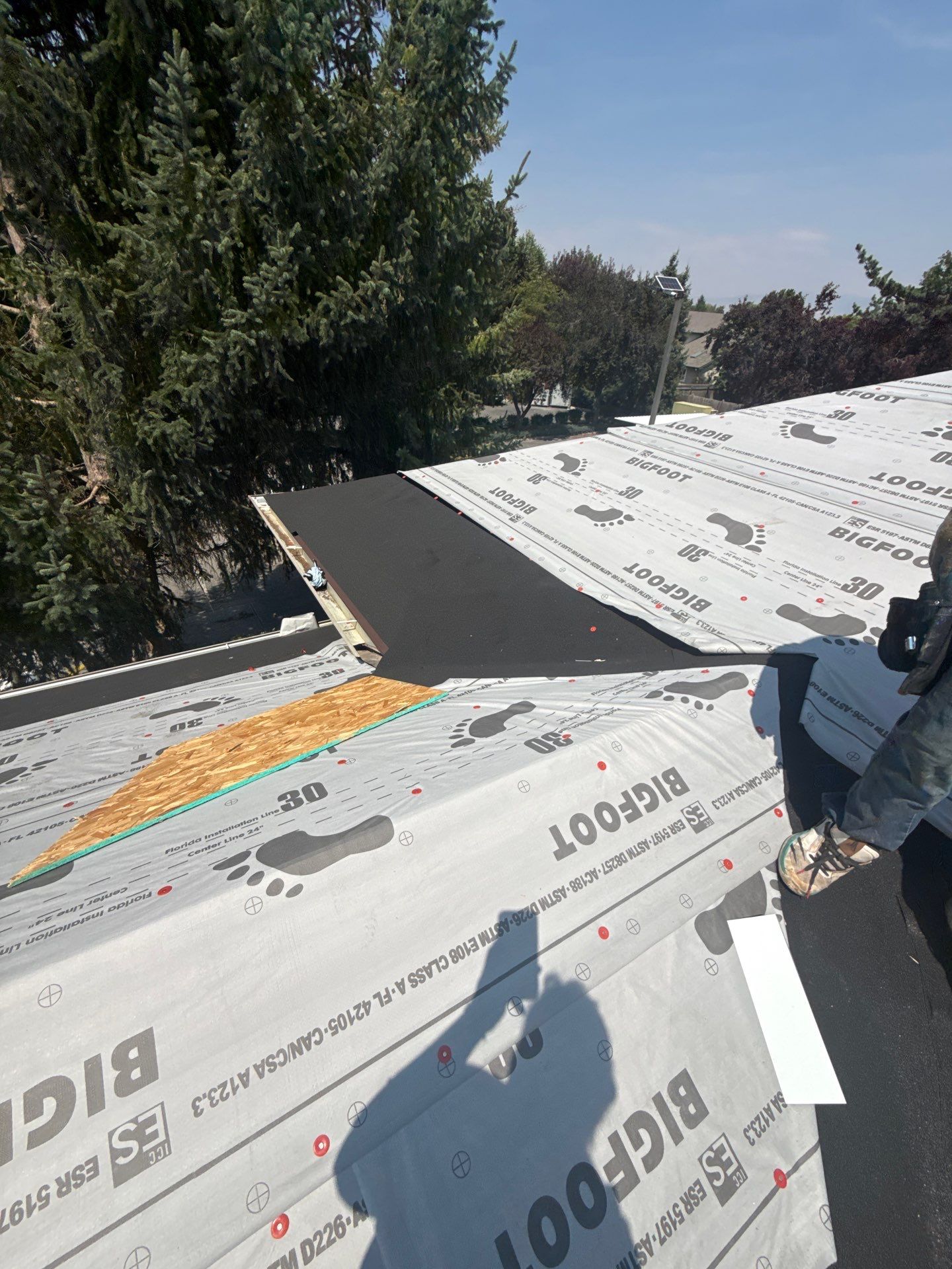 Boise Commercial Roof Replacement with Brown Architectural Shingles by Olive Roofing