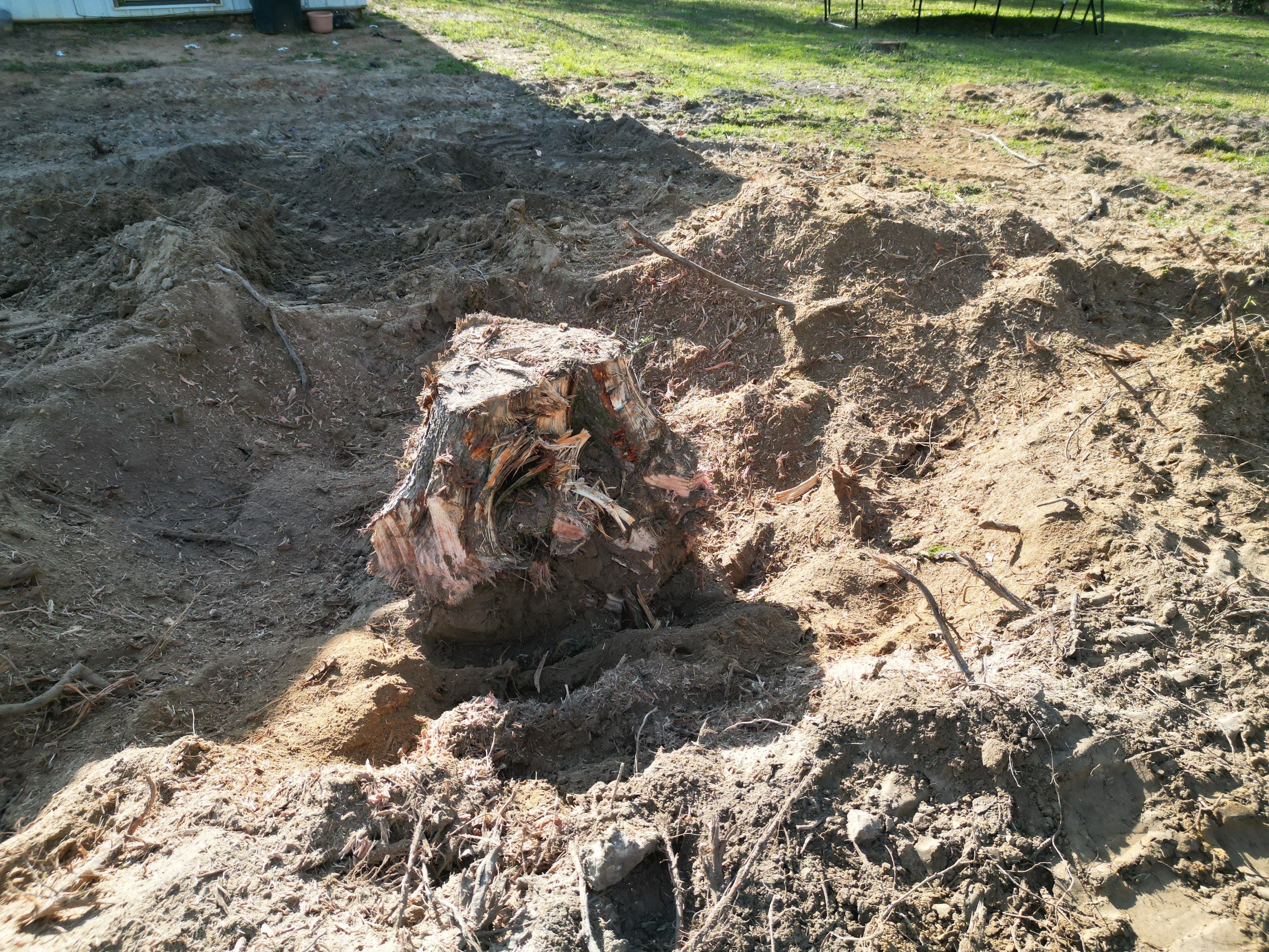 Stump Grinding & Removal In Project in Coldspring by Harden Enterprise Services LLC