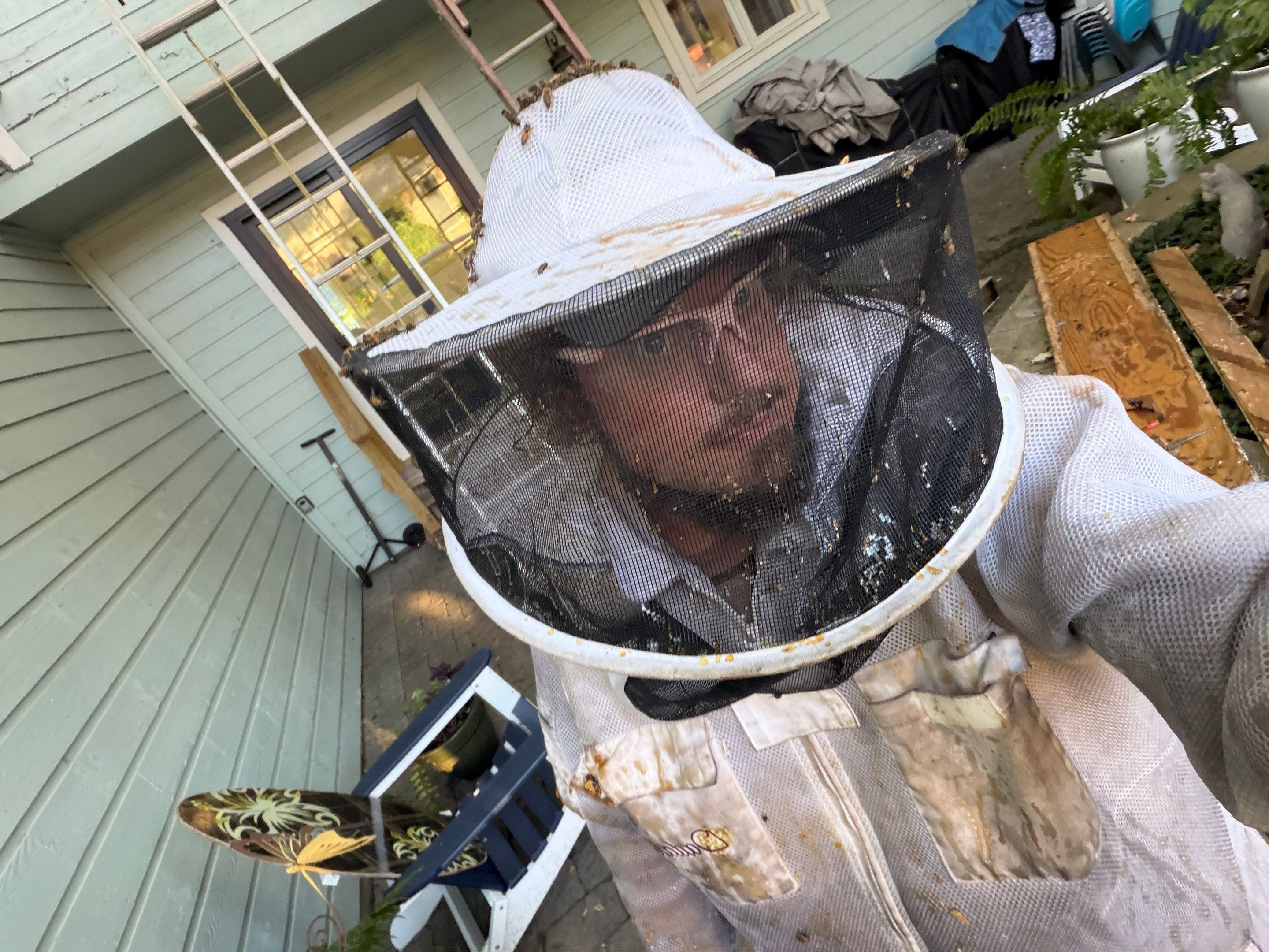 High Peak Bees by Rockwall Honey Bee Company
