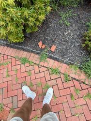 Window Cleaning in Montgomery, NJ — Gallo Bros job photo