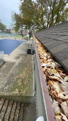 Gutter Protection for Wood Dale Homes