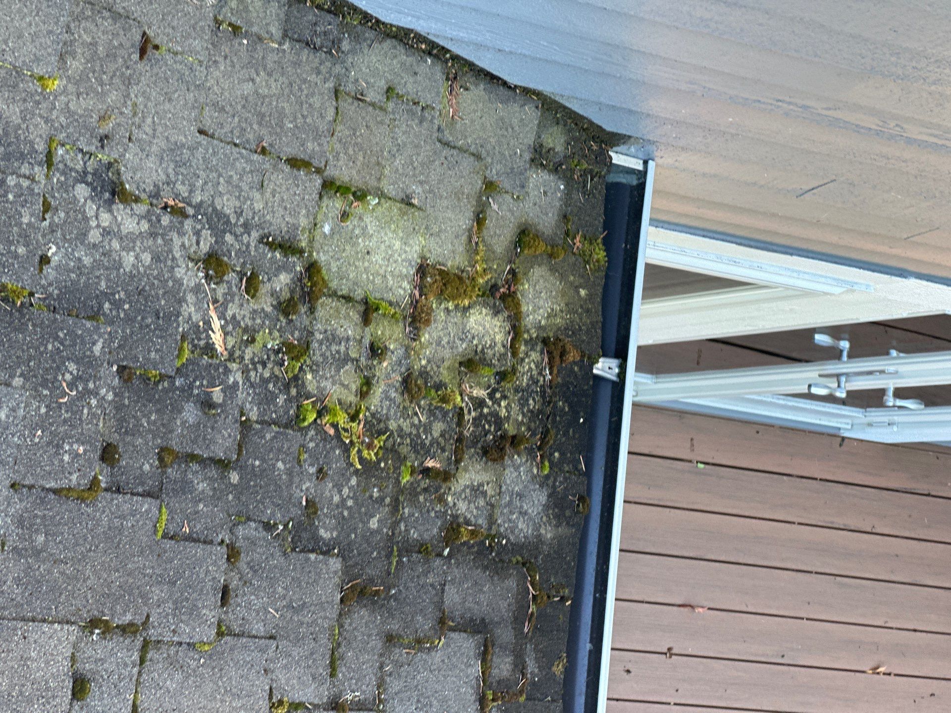 AGS Roof Wash in Sammamish by WindowWorks