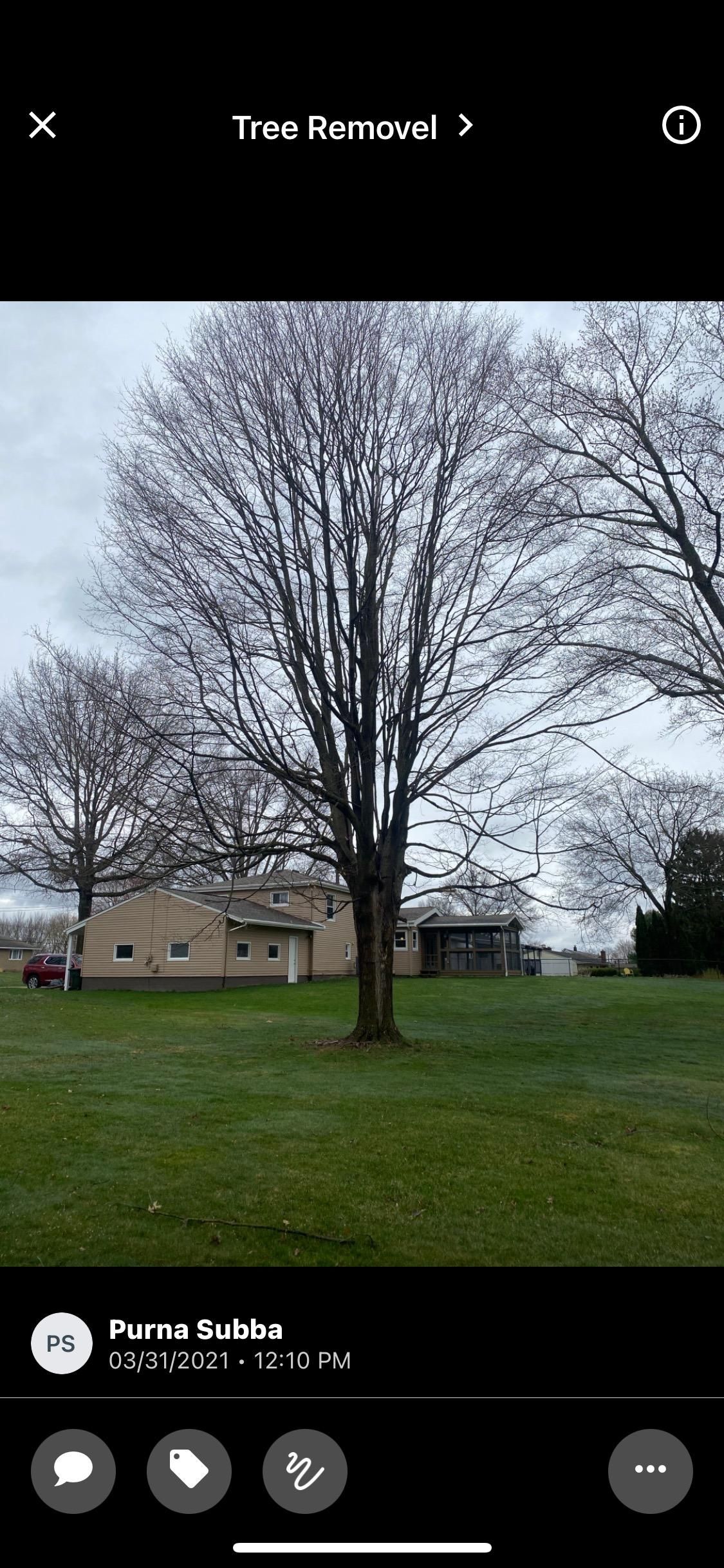 Tree Removal using Tree Removal by Mike Jones & Sons Tree Service LLC 