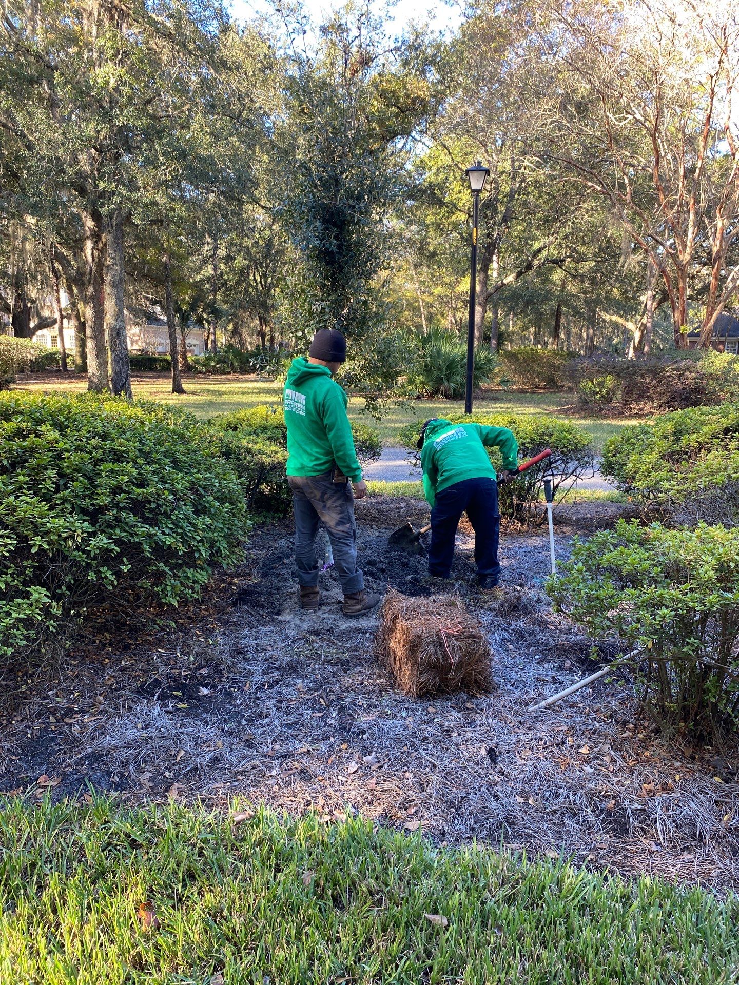 Deerwood Community | Oak Tree Replacement Project by ProGreen Services