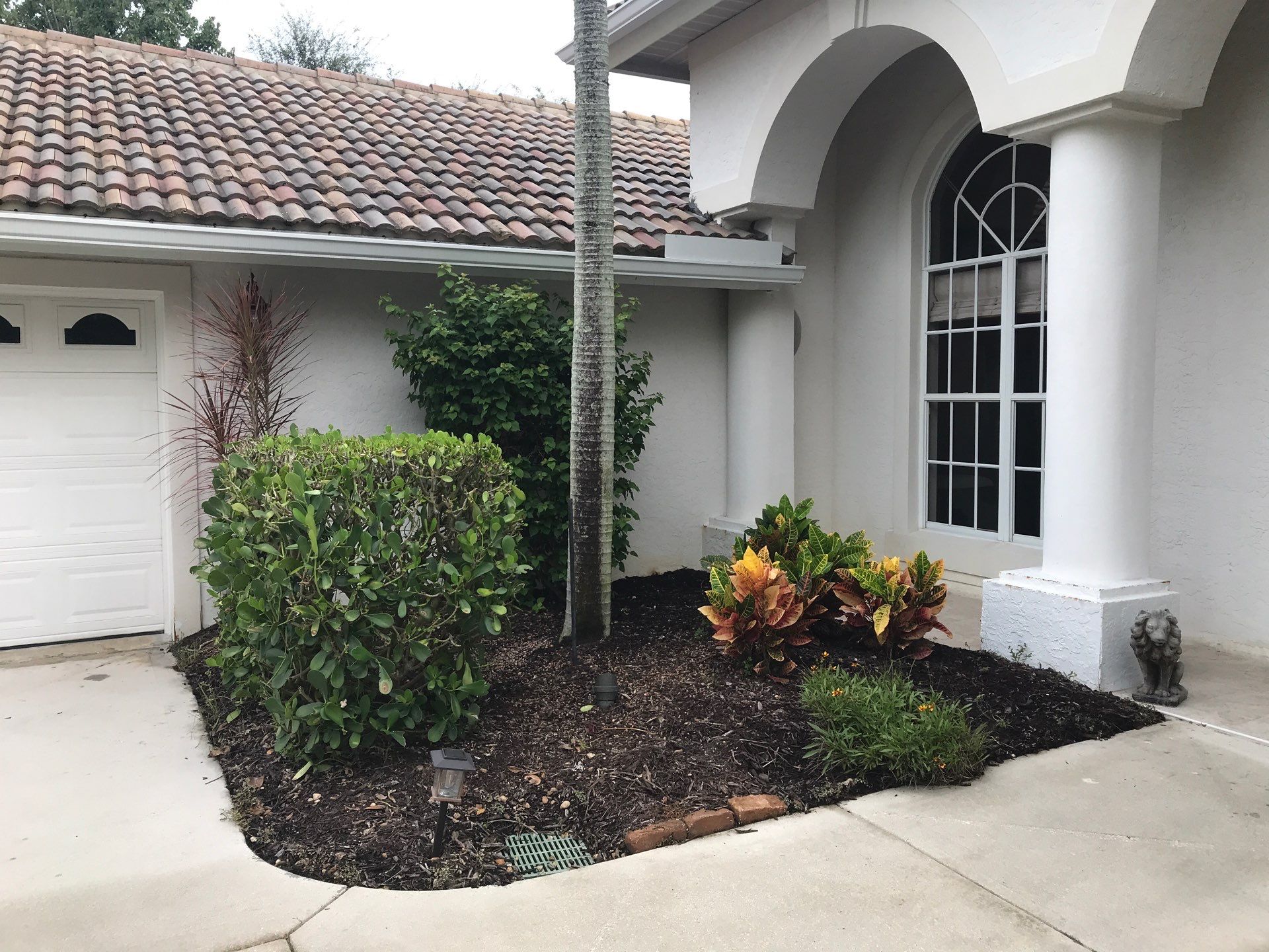 🌴 Landscape Removal and Install in Palm City by Alpha Zeta Enterprises Inc