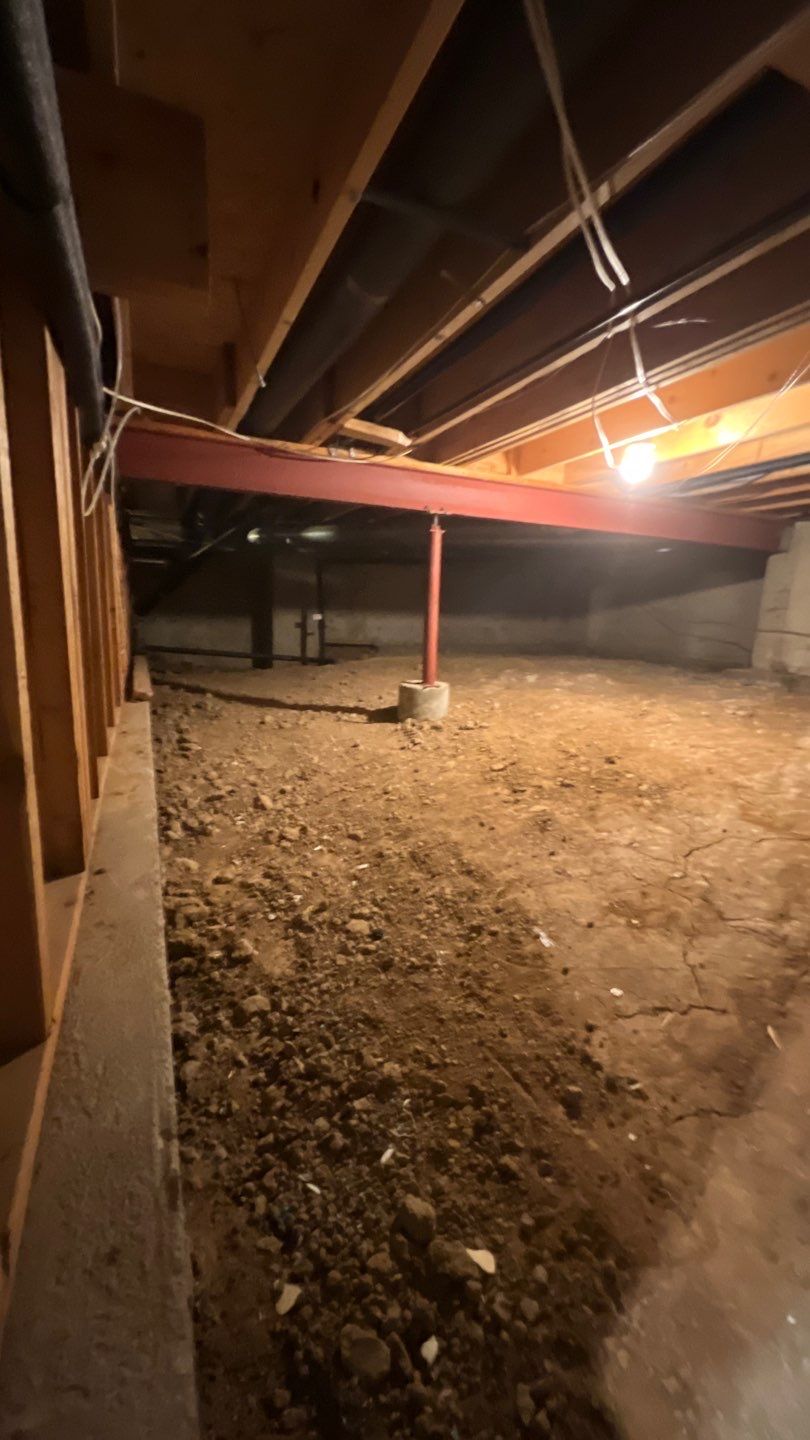 Mold Damage by Accountable Home Services