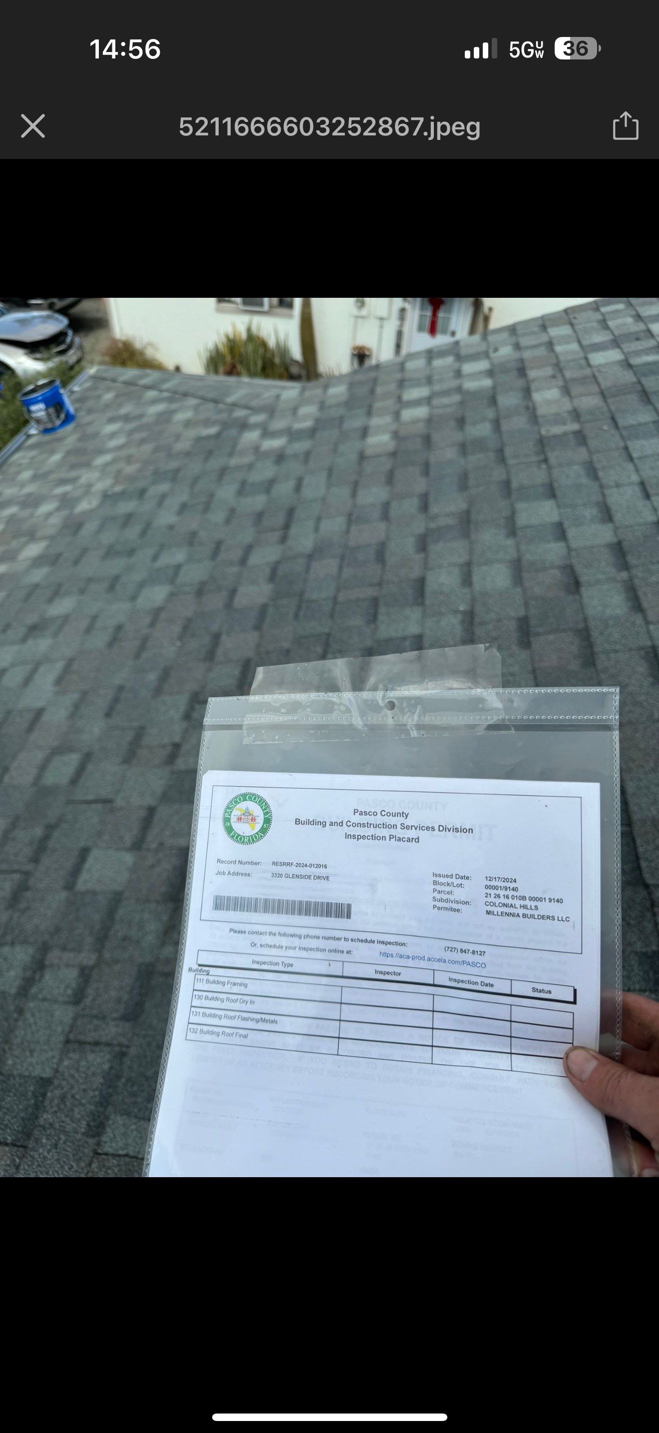 Silver Birch Shingles by Reimagine Roofing