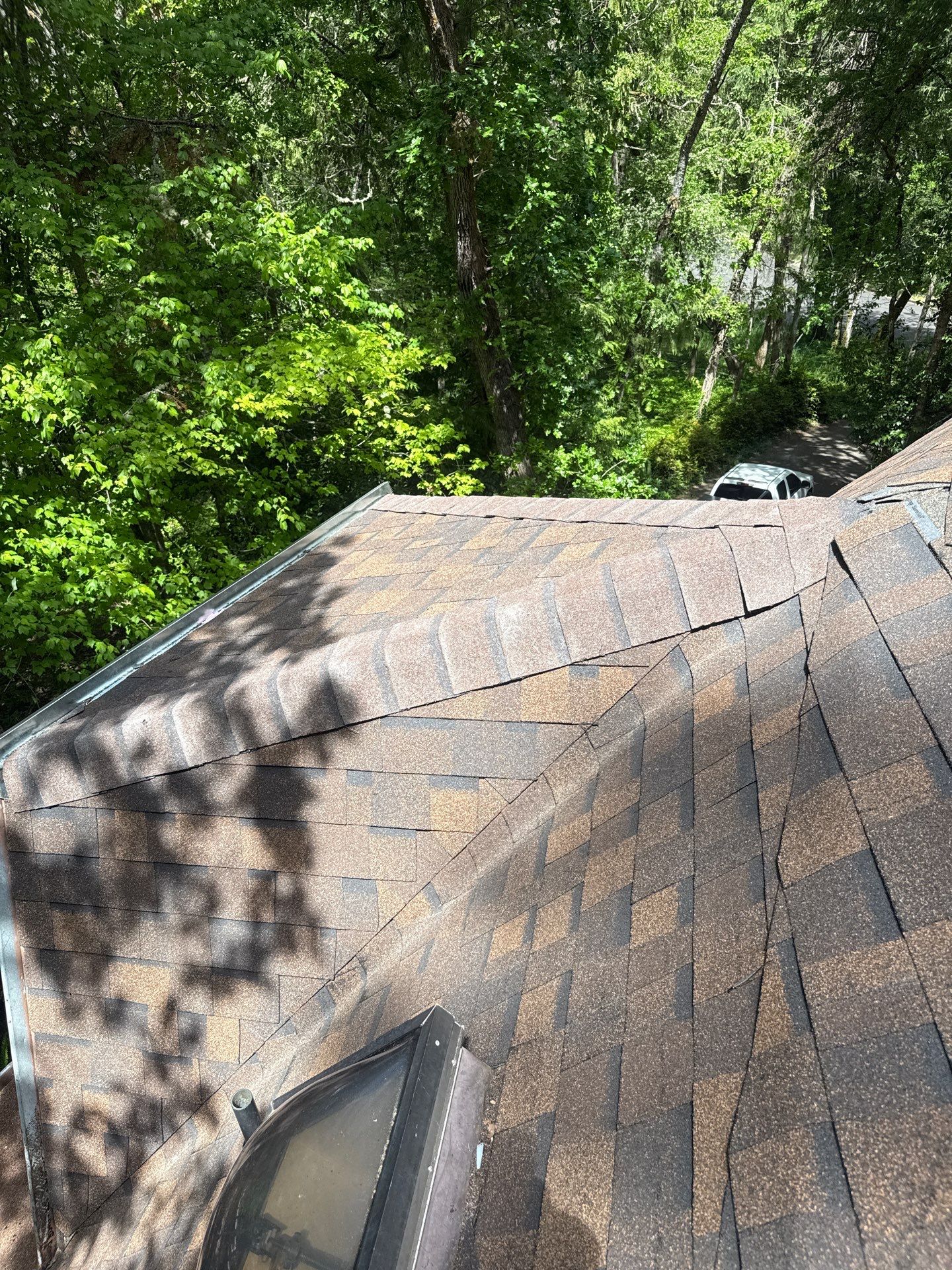 Custom Geodetic Dome Roof Replacement and Structural Repair in Eugene by BEST Roofing & Waterproofing
