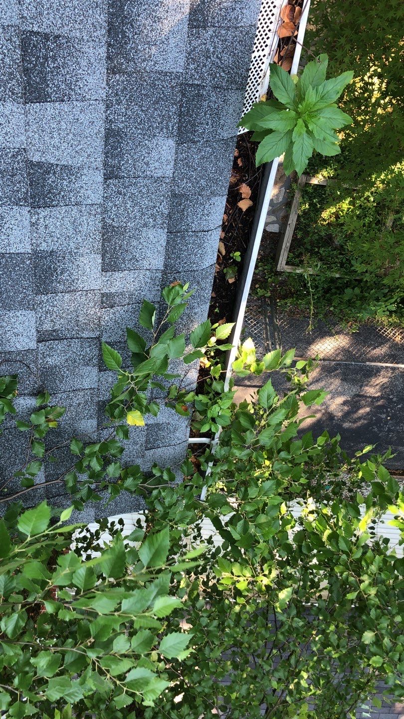 Gutter Cleaning by American Home Contractors