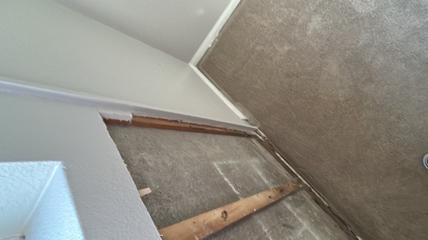 Mold Damage Repairs by Accountable Home Services