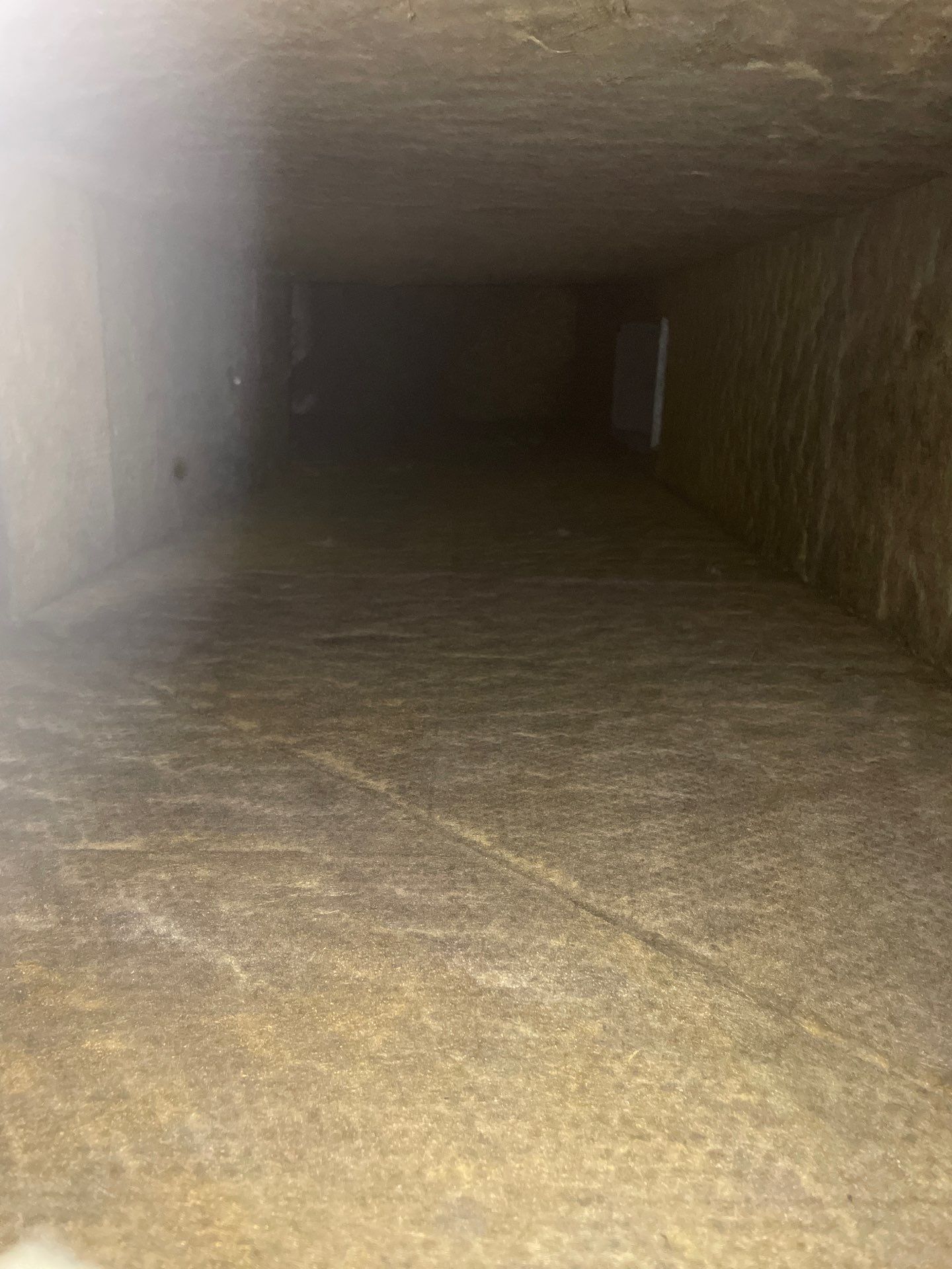 Air Duct Cleaning in Orlando by Hygienic Air, Inc