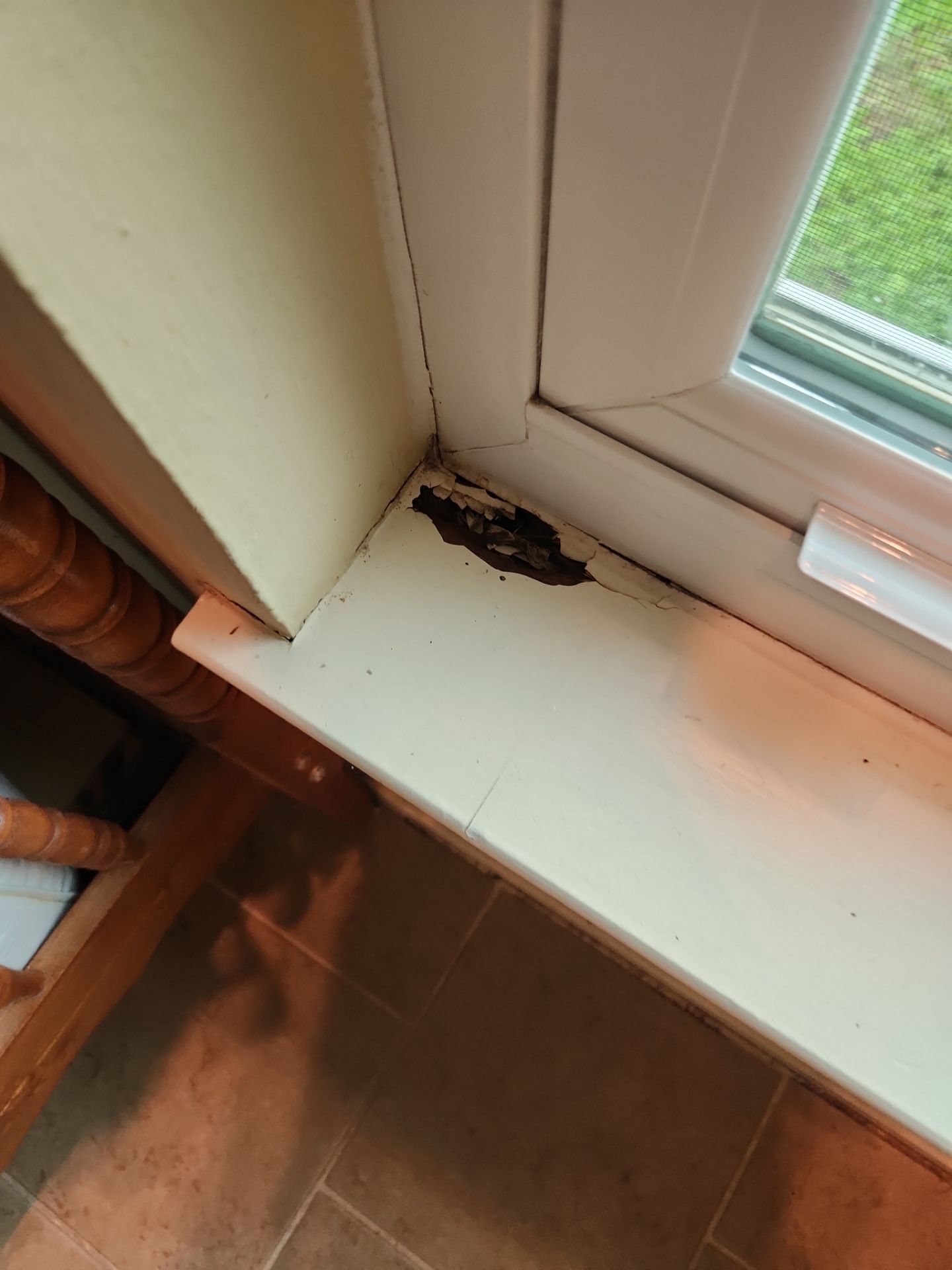 Drywall Repair and Interior Trim Painting in Austin by RejuveNate Renovations LLC