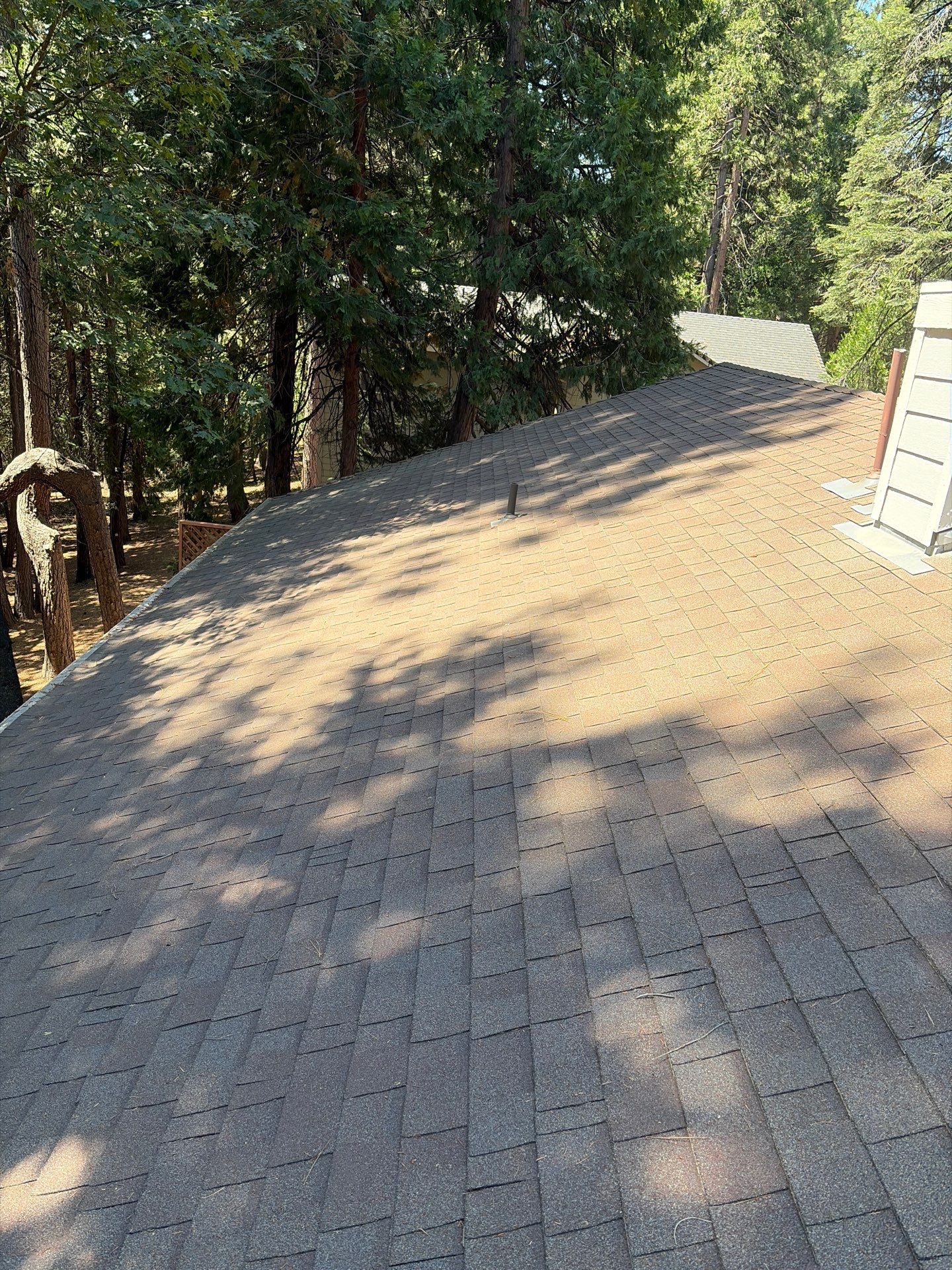 Roof Rejuvenation using Roof Maxx Treatment by Roof Maxx of Folsom